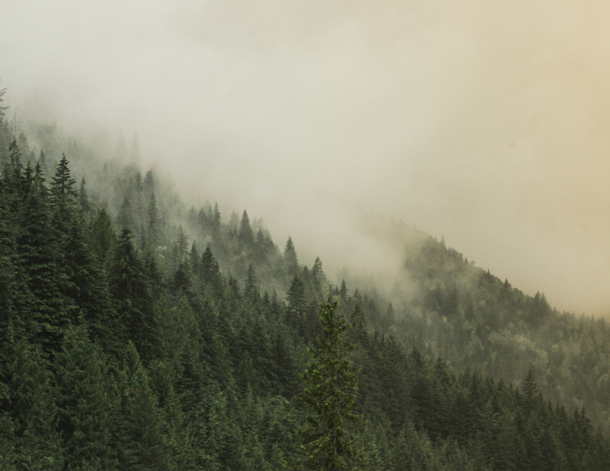 Canon EF 75-300mm f/4-5.6 USM sample photo. Layer of mist photography
