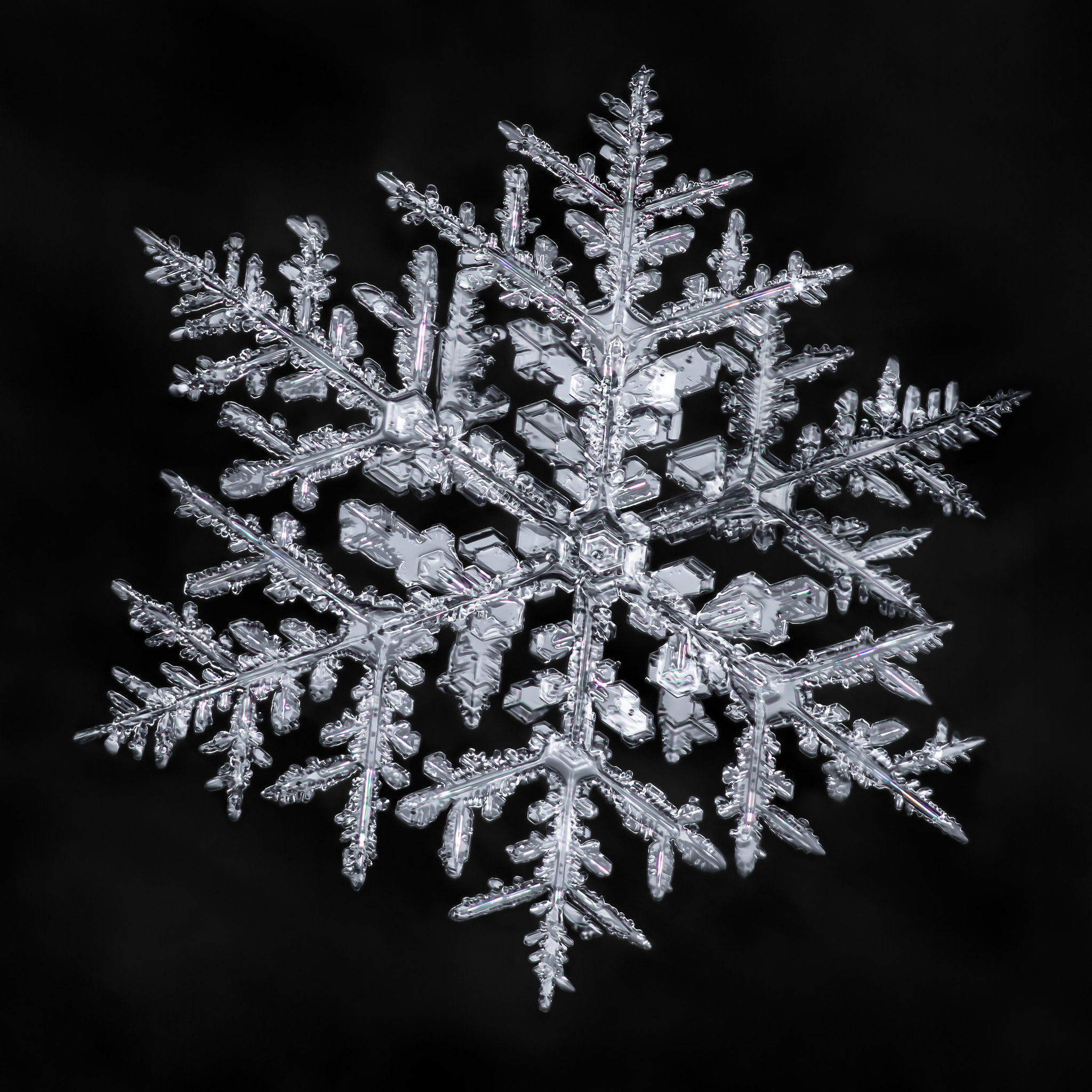Canon MP-E 65mm F2.5 1-5x Macro Photo sample photo. Snowflake-a-day #29 photography