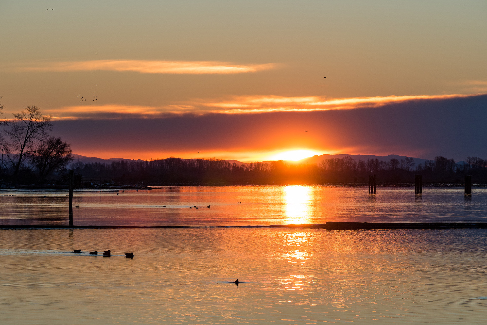 Olympus OM-D E-M5 II + Panasonic Lumix G X Vario 35-100mm F2.8 OIS sample photo. 2017 sunrise photography