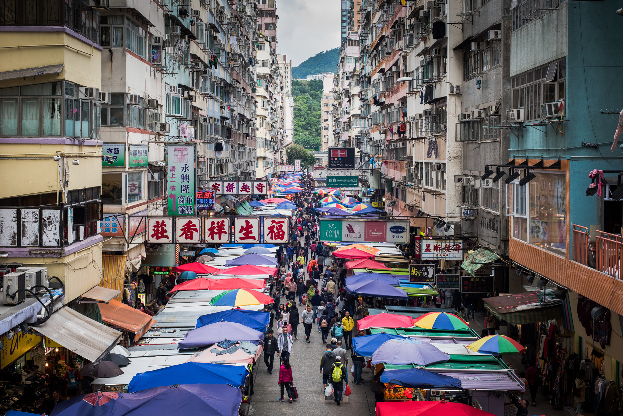 Nikon D810 + Nikon AF Nikkor 50mm F1.4D sample photo. Kowloon, hong kong photography