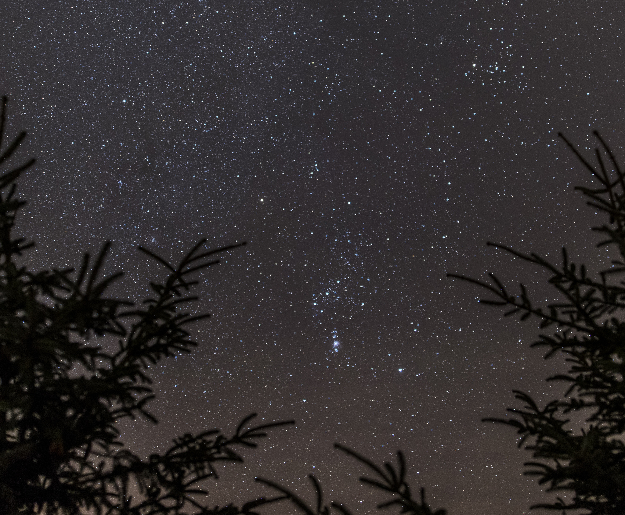 Sigma 24mm F1.4 DG HSM Art sample photo. Orion photography