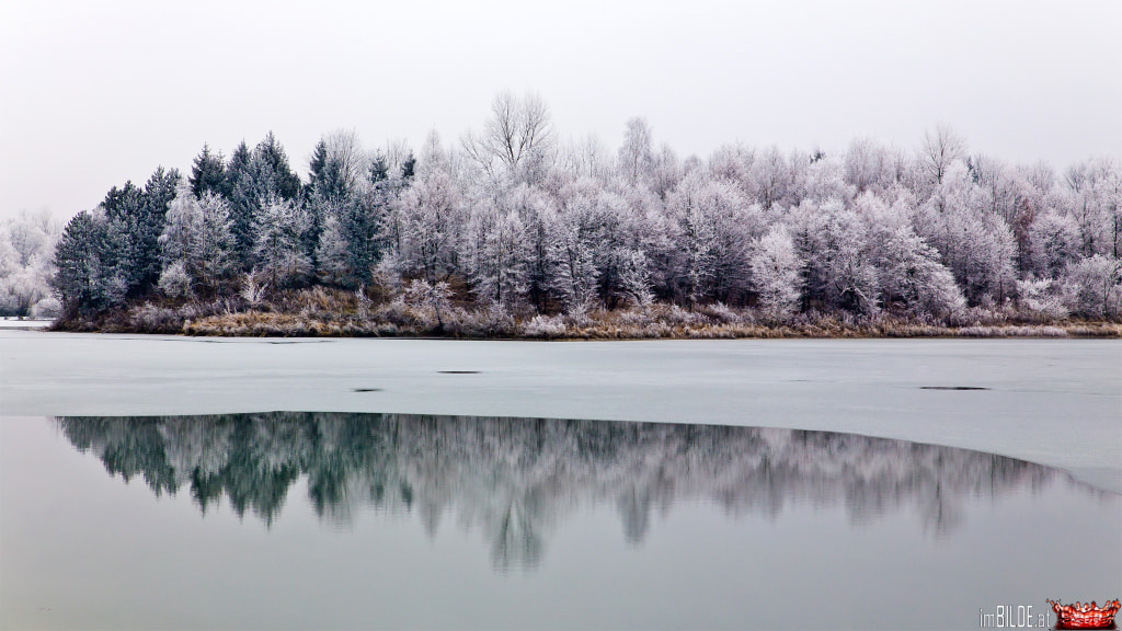 Winter in Upper Austria (near Marchtrenk) by Bernhard Plank on 500px.com