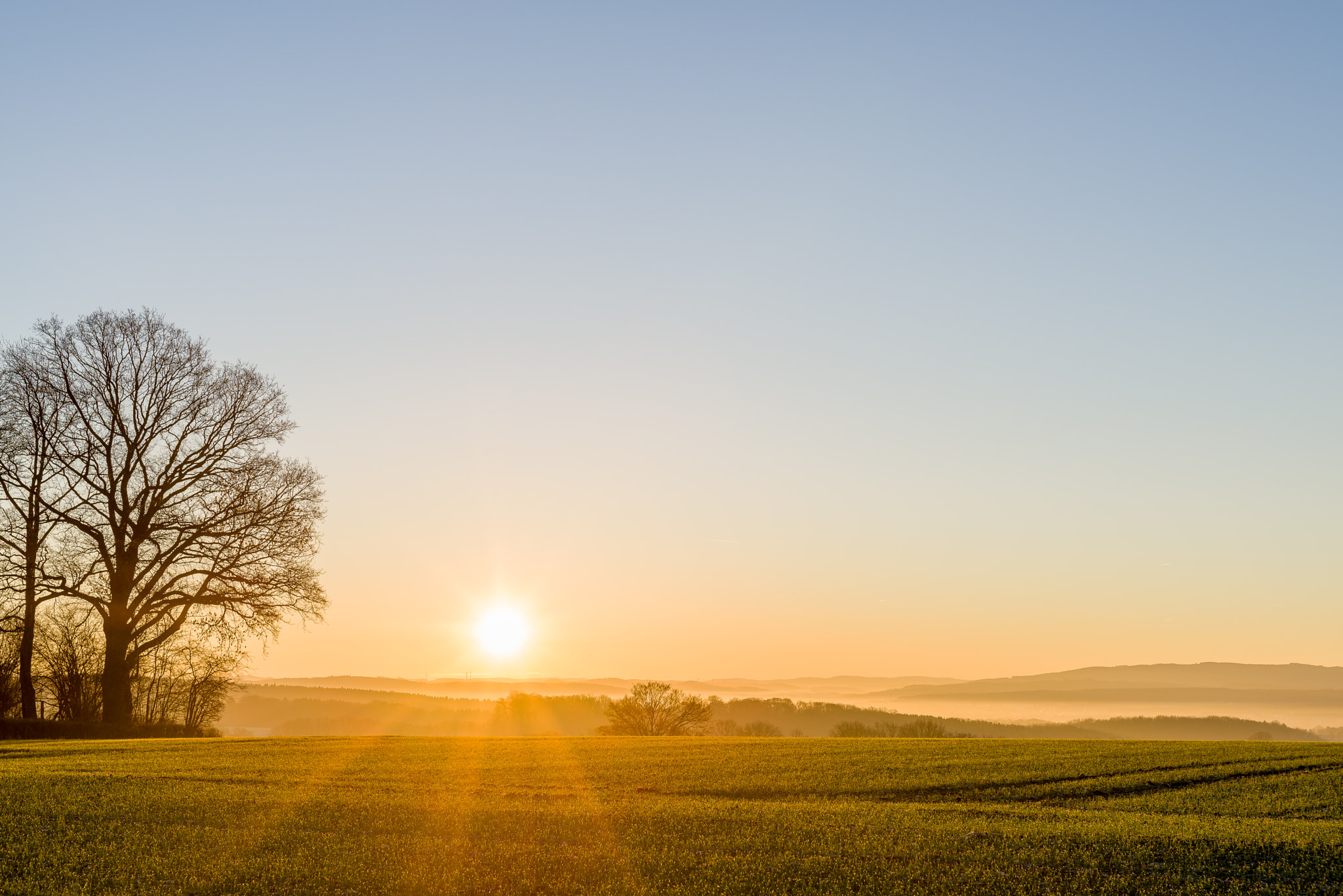 Nikon D610 + Sigma 50mm F1.4 DG HSM Art sample photo. 31612600770.jpg photography