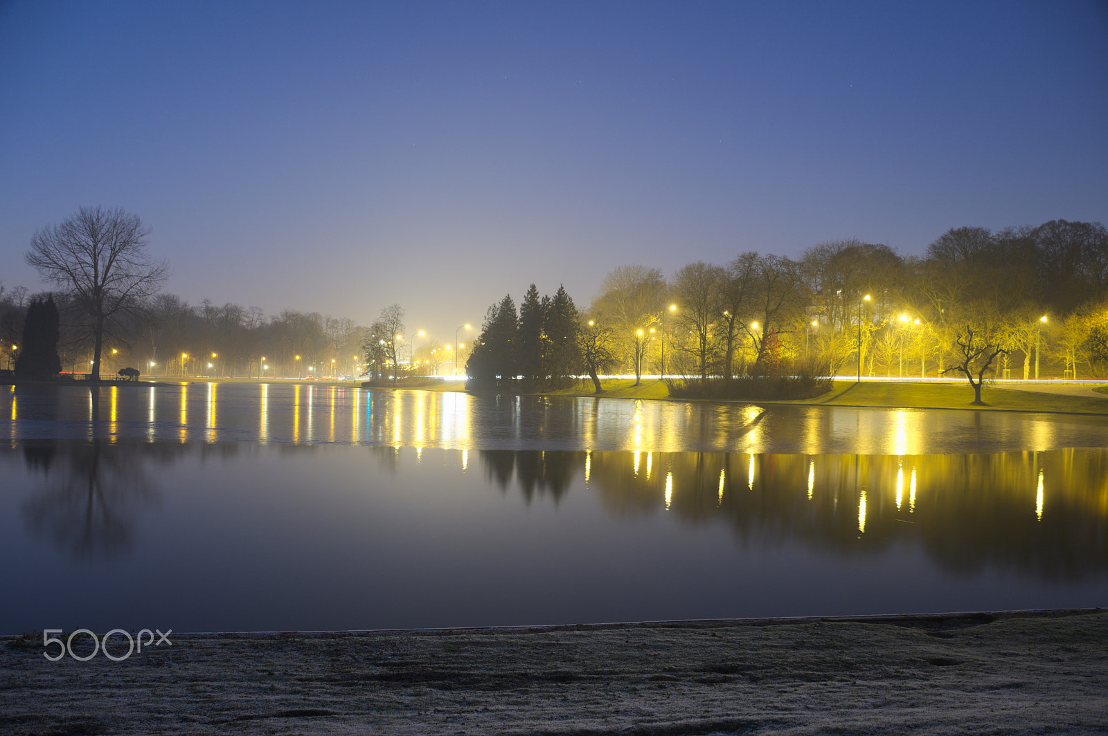 Nikon D500 sample photo. Etangs mellaerts - water half iced photography