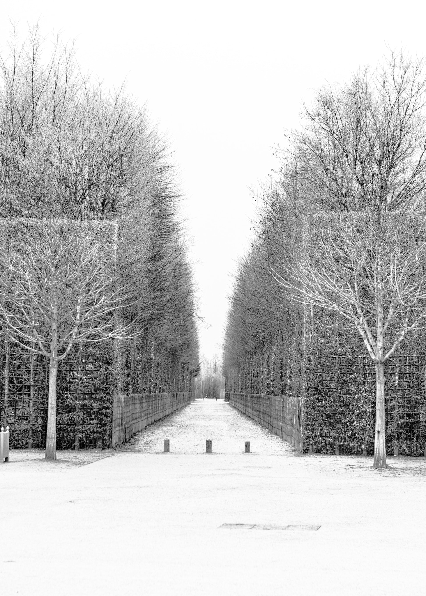 Canon EOS 5DS R sample photo. Jardin de versailles photography