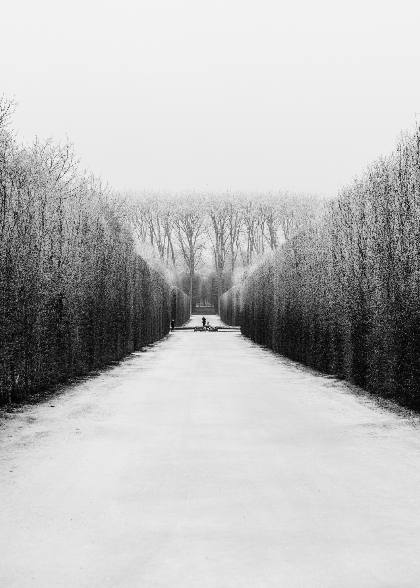 Canon EOS 5DS R sample photo. Jardin de versailles photography
