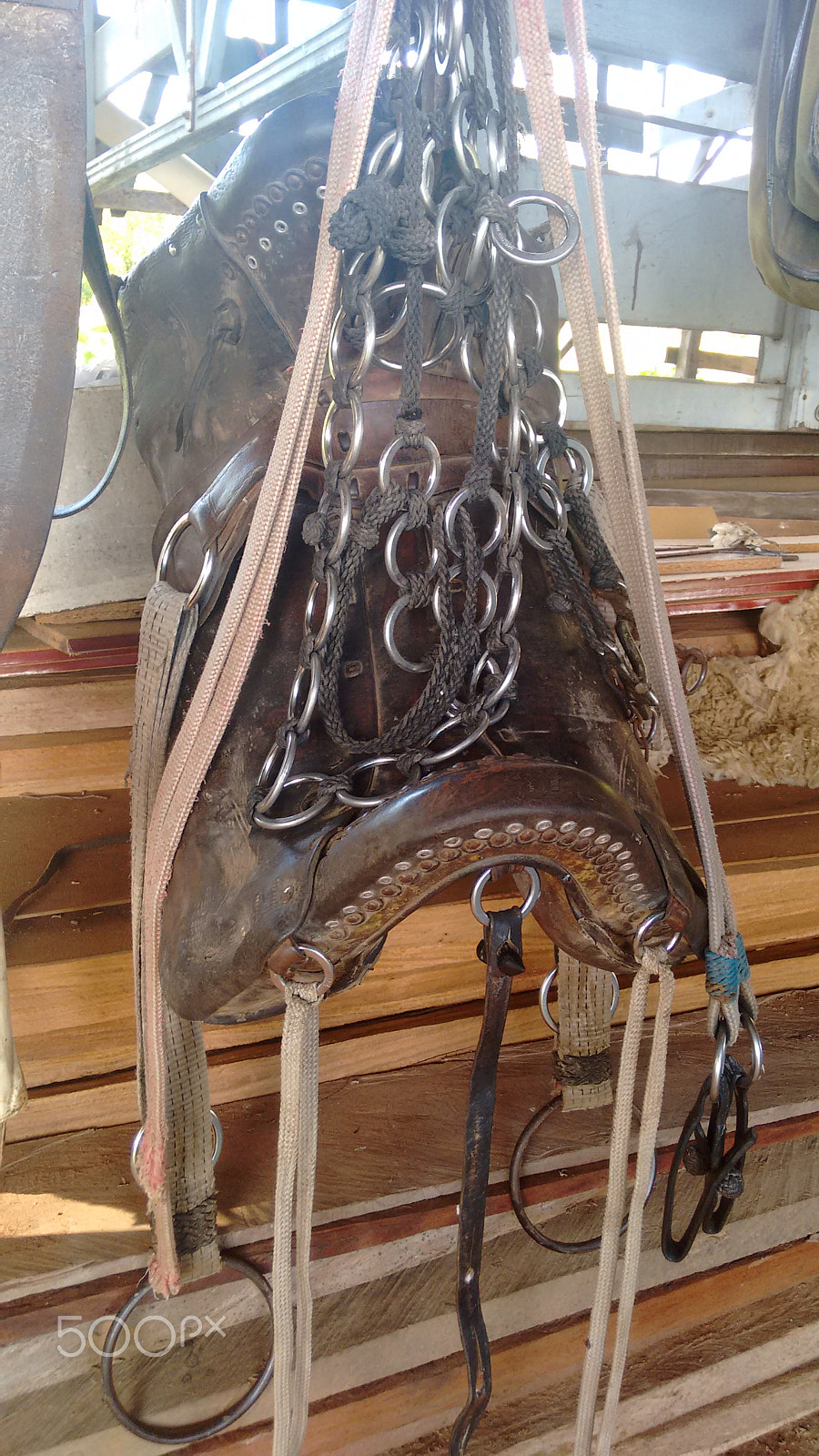 Motorola Moto G with 4G LTE (2nd Gen) sample photo. Horse harness photography