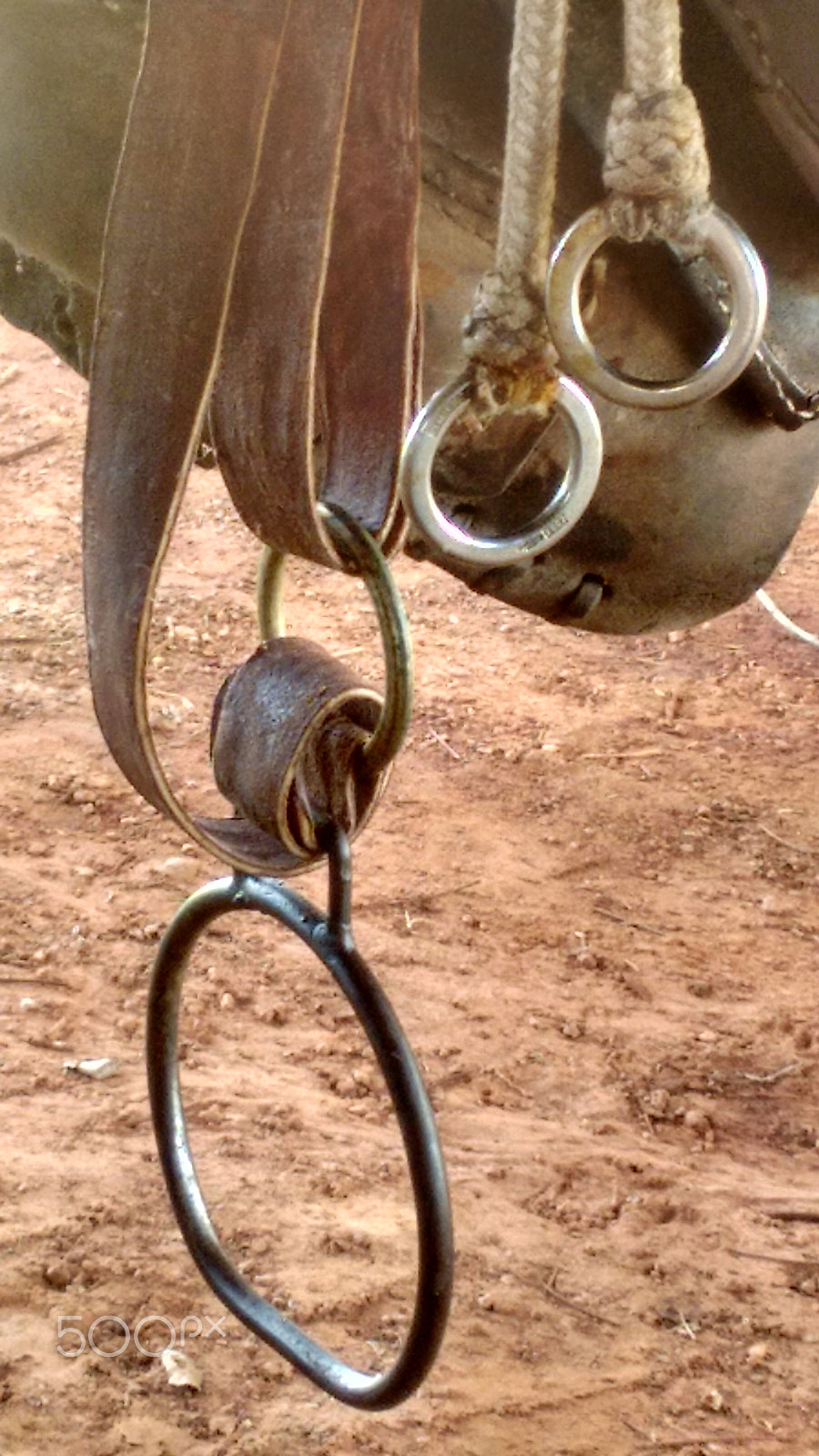 Motorola Moto G with 4G LTE (2nd Gen) sample photo. Horse harness photography