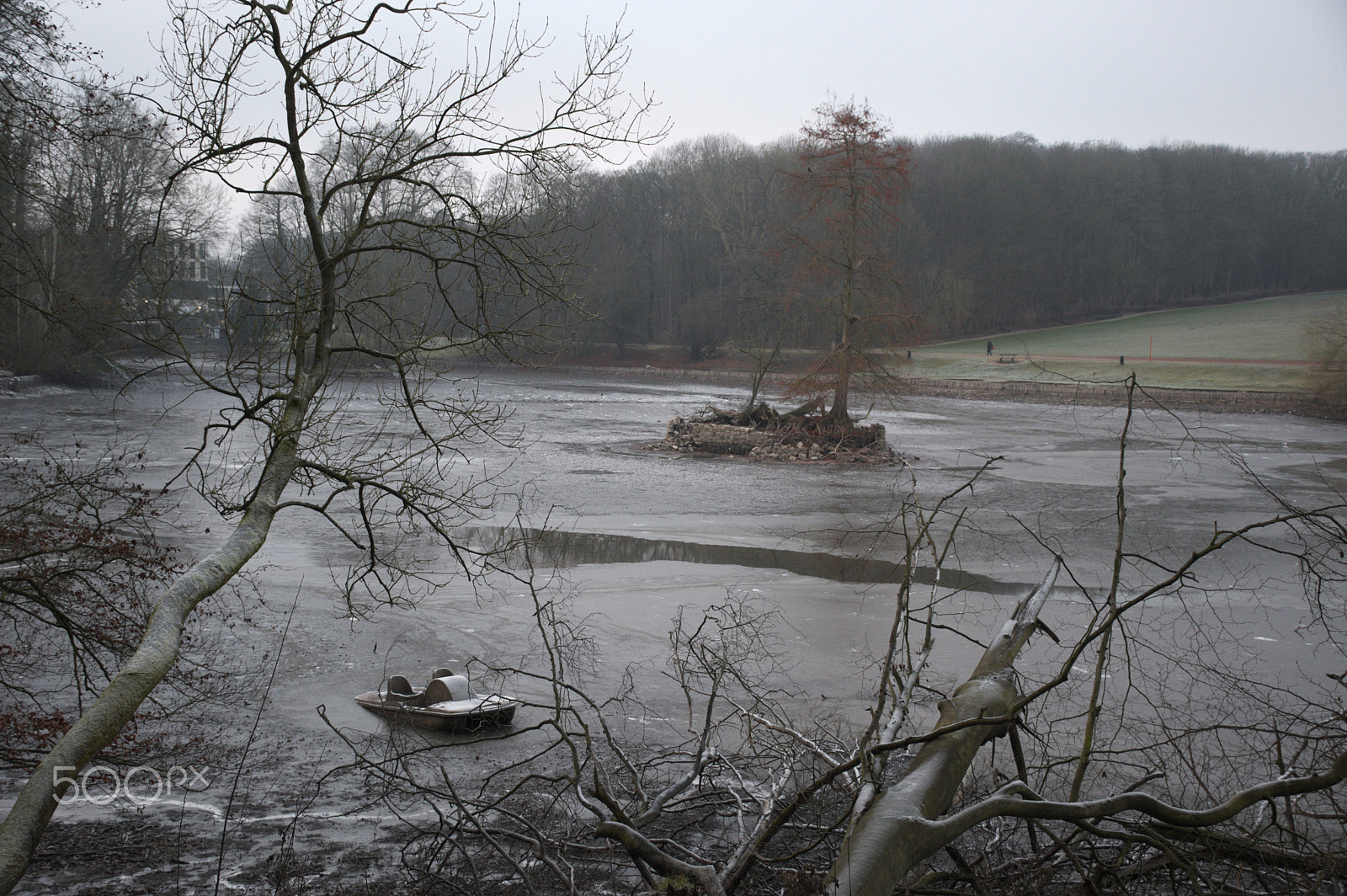 Nikon D500 sample photo. Freezed landscape photography