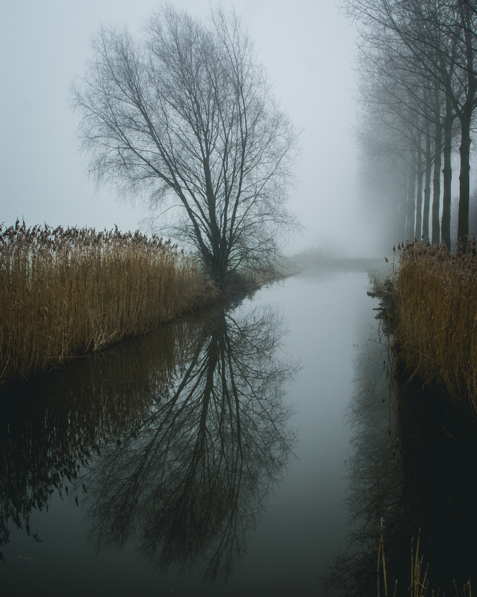 Minolta AF 24-85mm F3.5-4.5 [New] sample photo. Reflections on a foggy morning photography