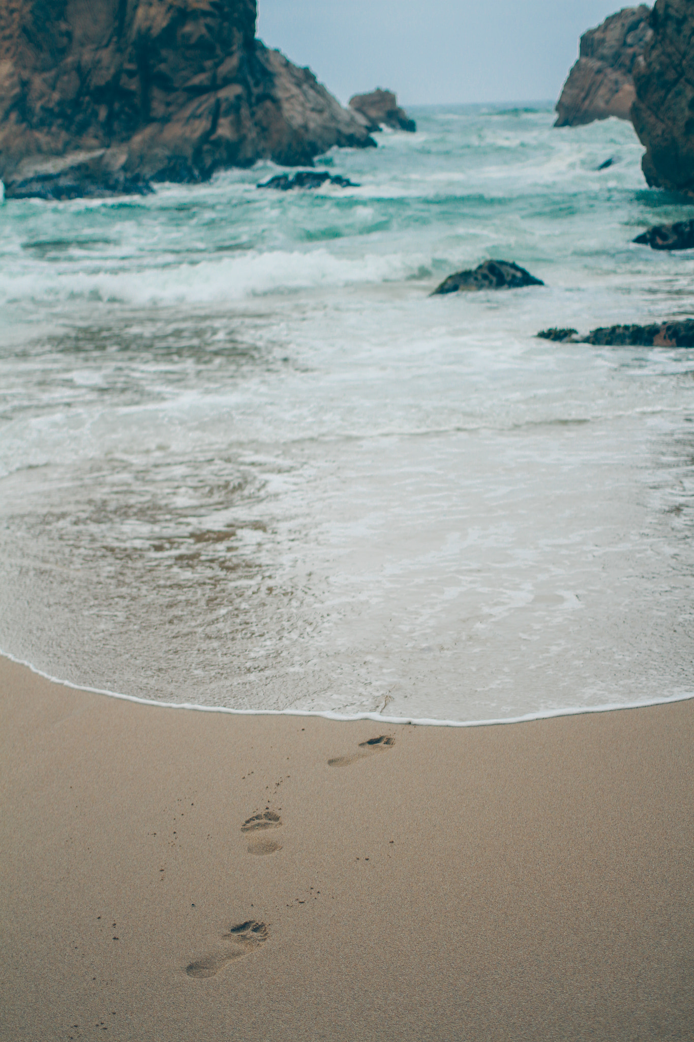 Canon EOS 650D (EOS Rebel T4i / EOS Kiss X6i) + Canon EF 40mm F2.8 STM sample photo. 'your nimble feet make prints in my sands' photography