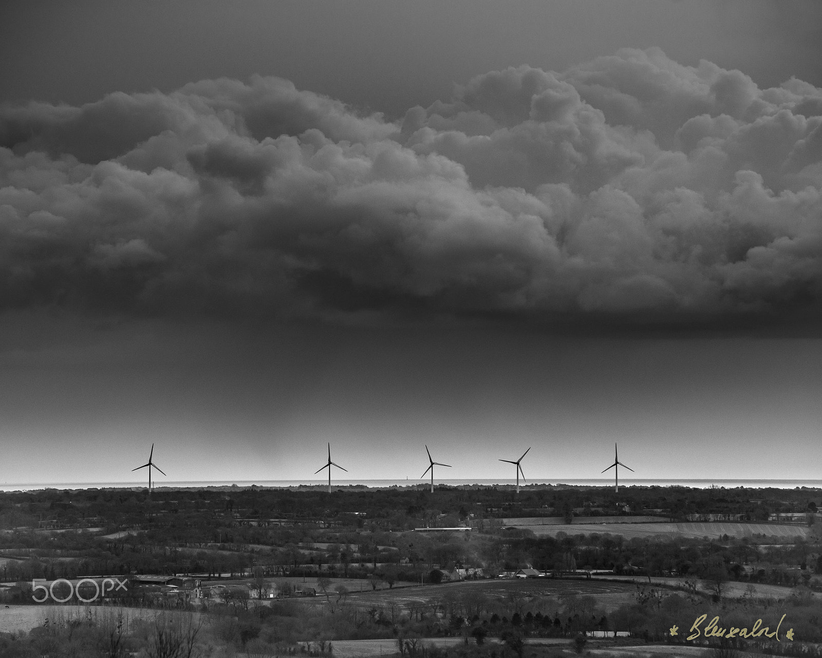 Nikon D800 + Tamron SP 70-300mm F4-5.6 Di VC USD sample photo. " wind's coming " photography