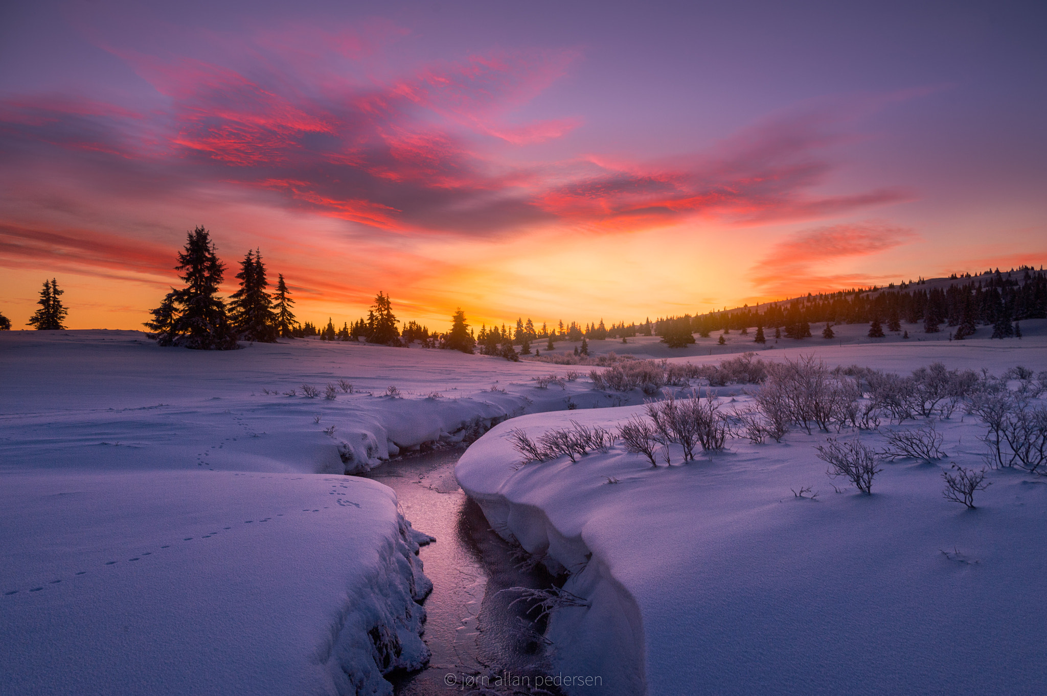 Nikon D3S sample photo. Winter stream photography