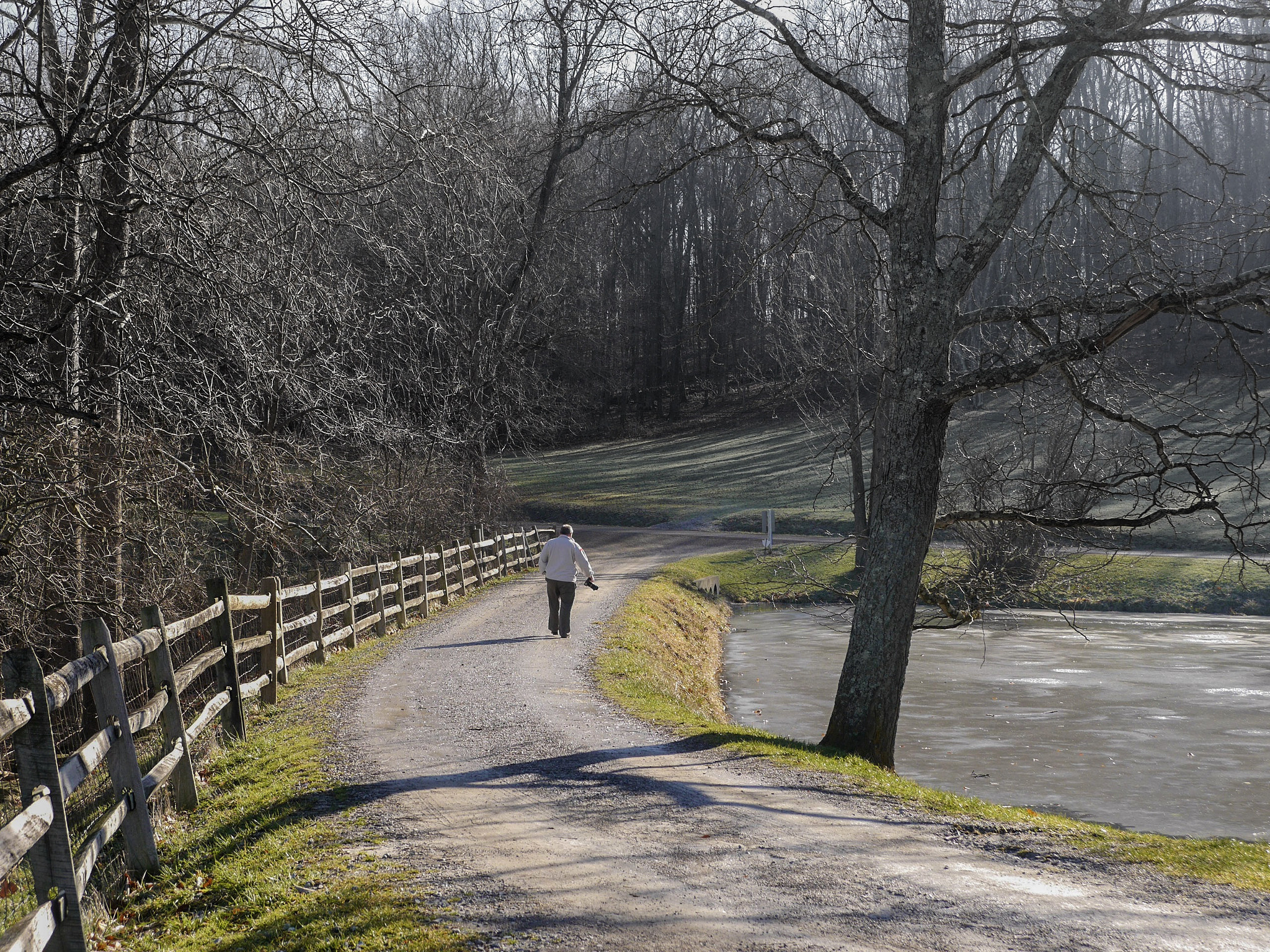 LUMIX G VARIO 14-42/F3.5-5.6 II sample photo. Golden walkway photography