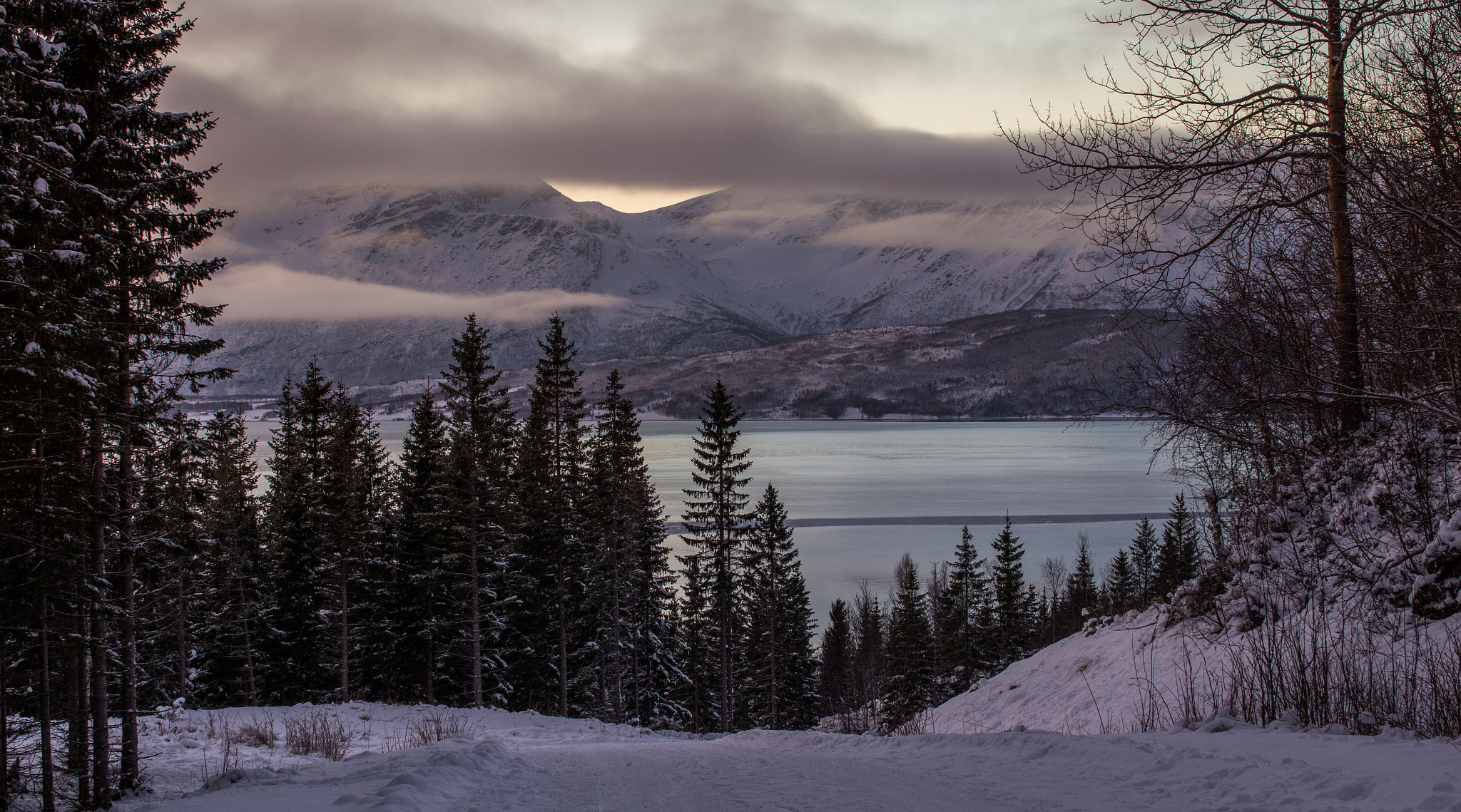 Sigma 50mm F1.4 EX DG HSM sample photo. Arctic fjord landscapes photography