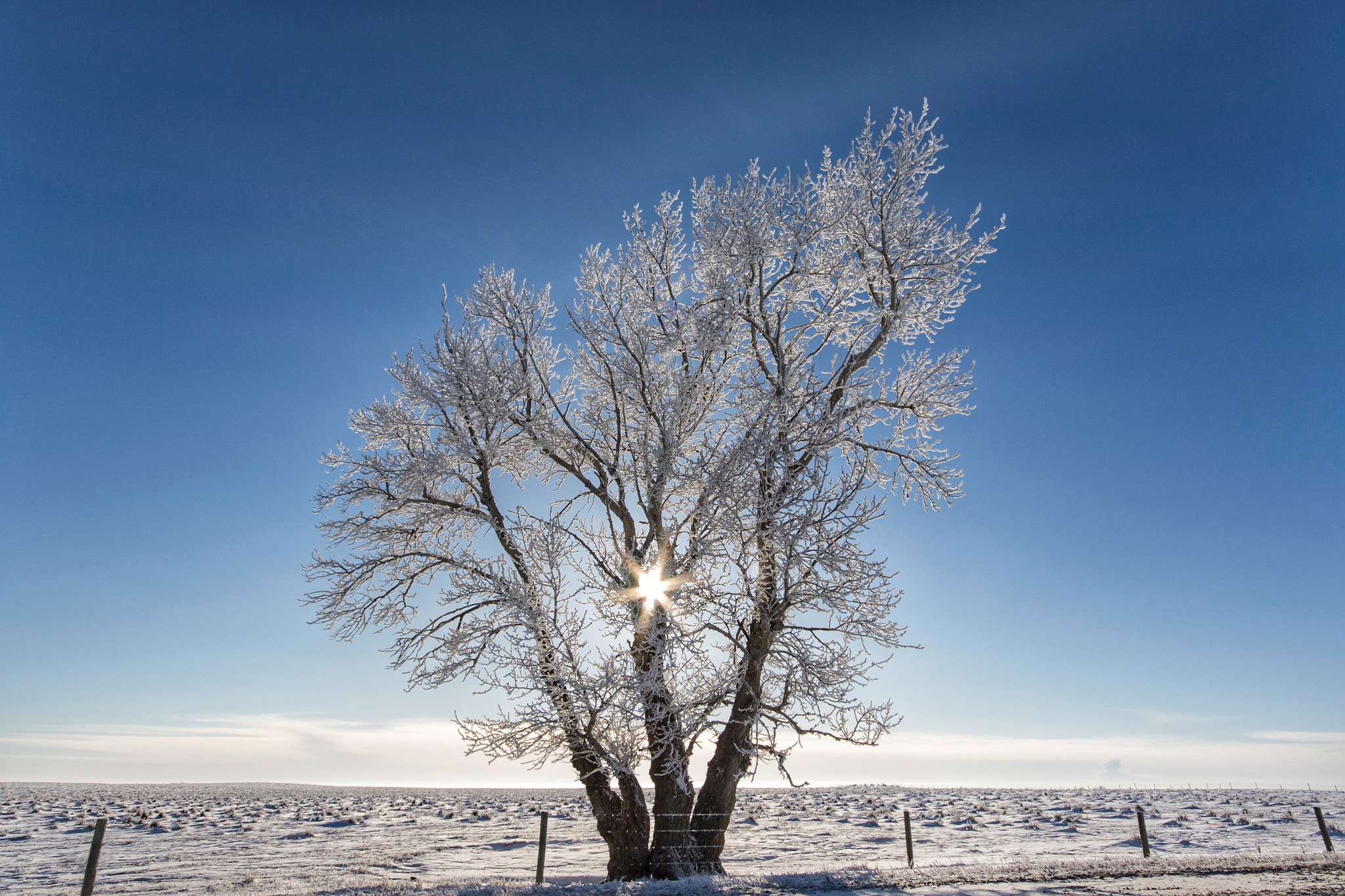 Sigma 10-20mm F4-5.6 EX DC HSM sample photo. Frozen sunshine photography