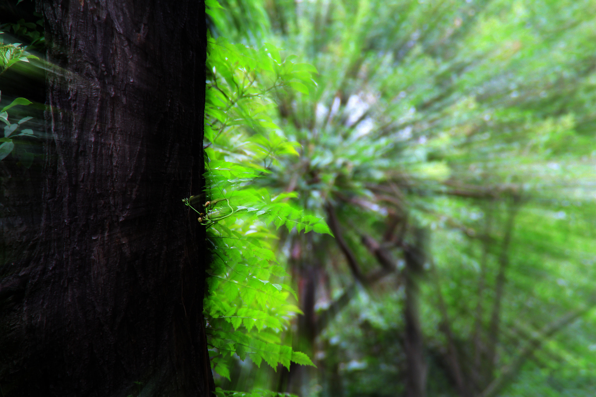 Canon EOS 1200D (EOS Rebel T5 / EOS Kiss X70 / EOS Hi) sample photo. 动静之间 photography