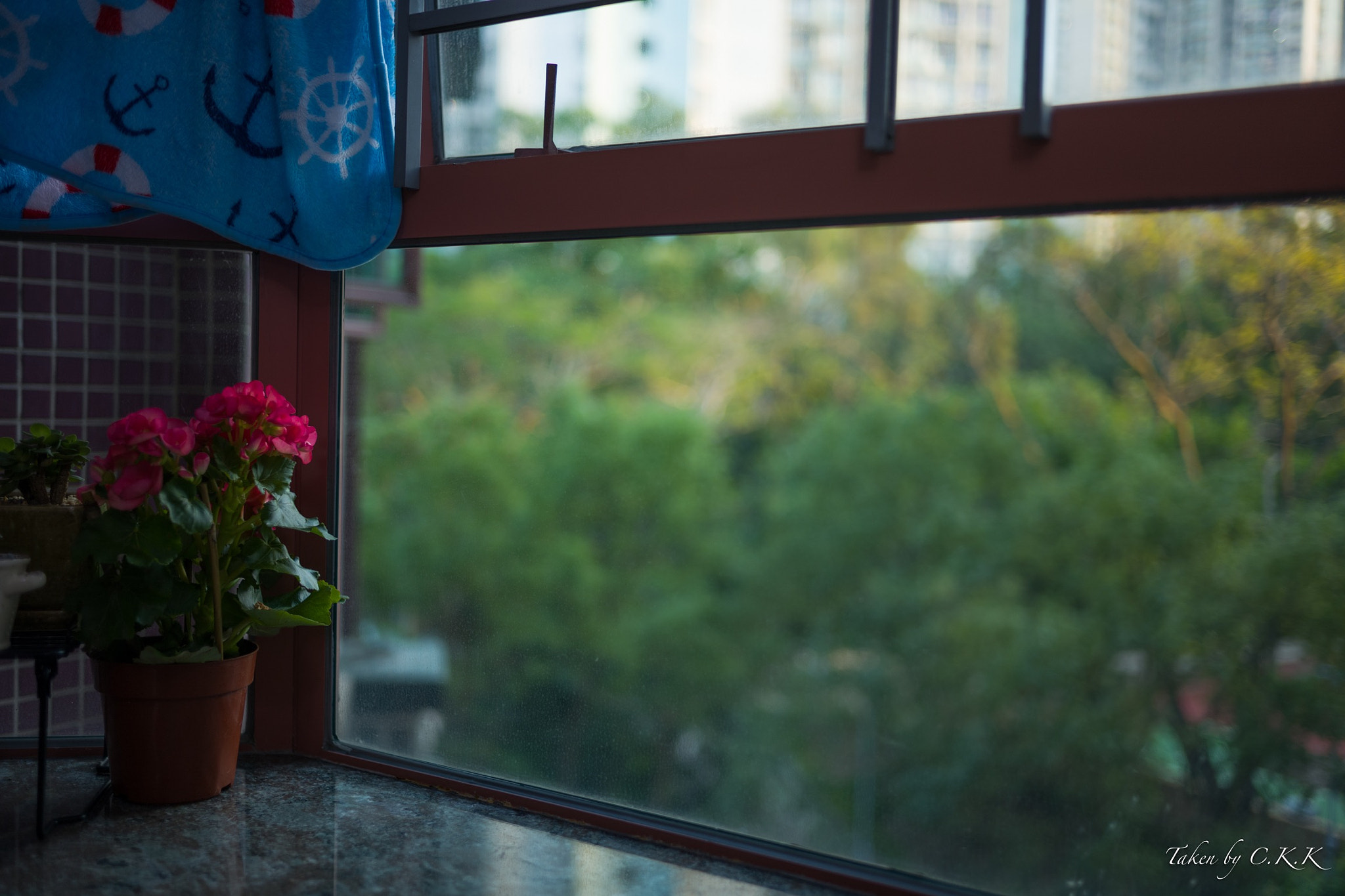 Leica Summilux-M 35mm F1.4 ASPH sample photo
