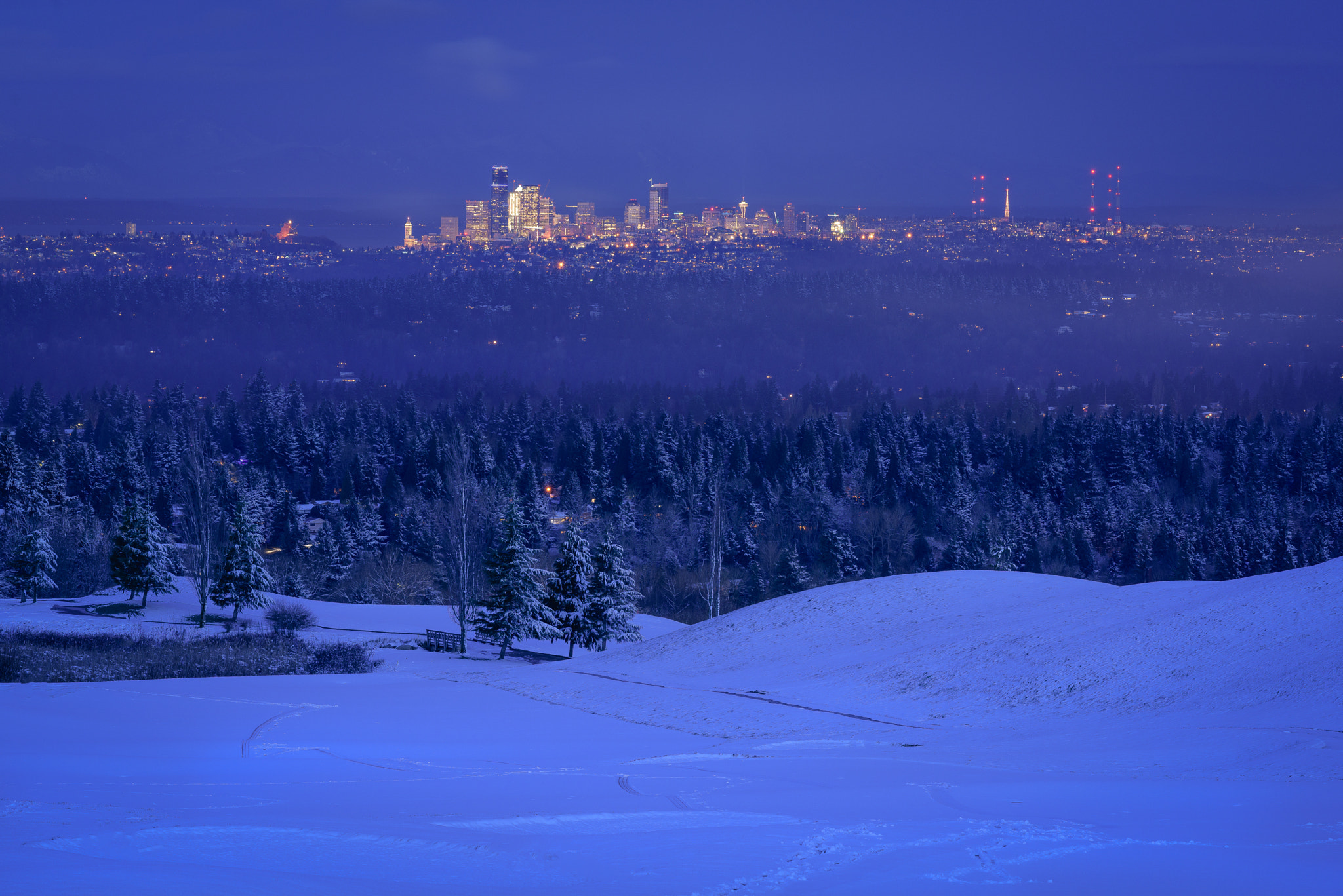 Nikon D810 + ZEISS Apo Sonnar T* 135mm F2 sample photo. Cold seattle morning photography