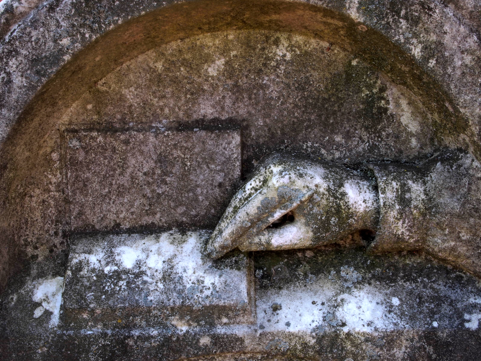 Olympus PEN E-PL1 sample photo. Hartford conn.cemetery stone photography