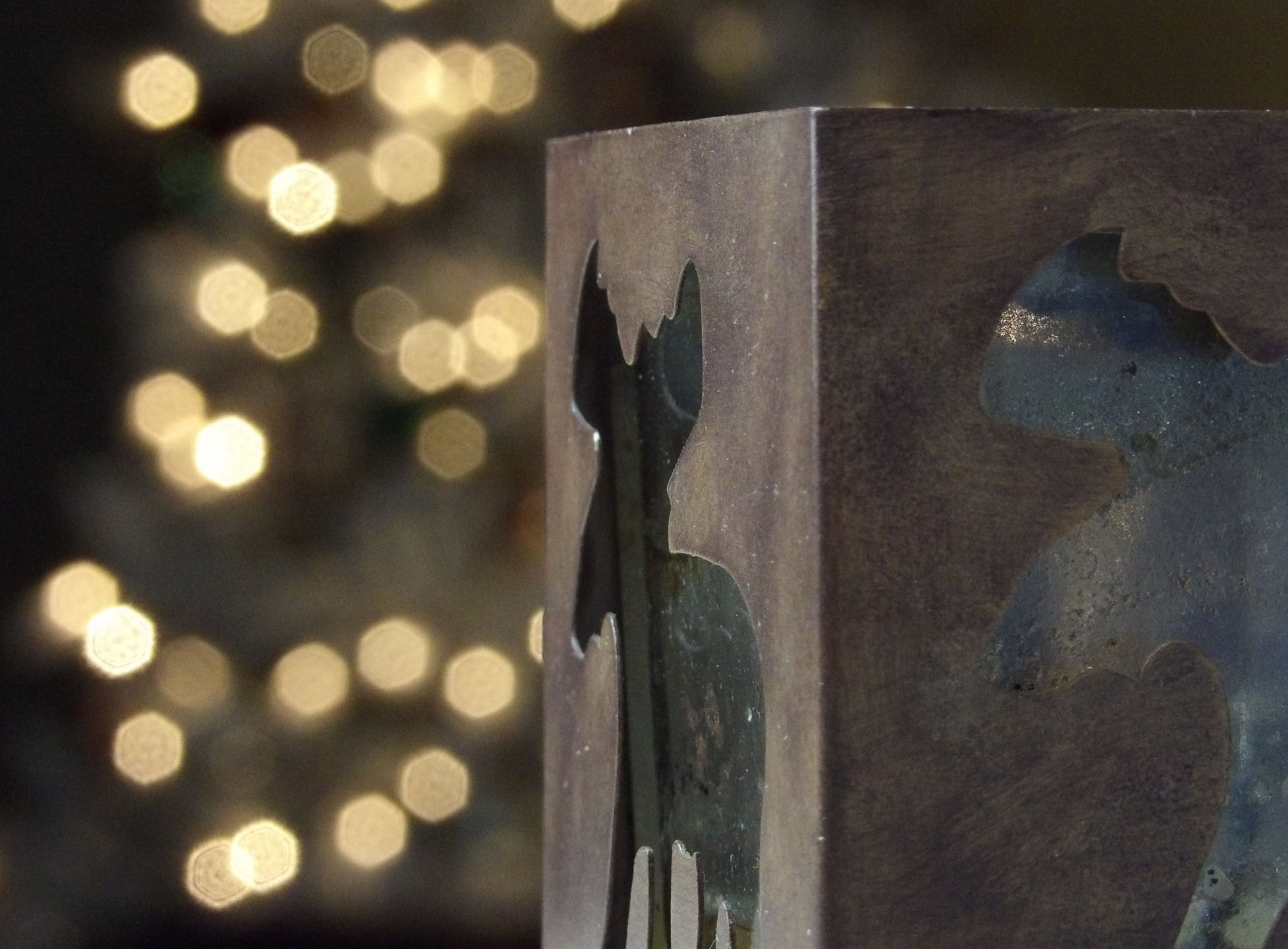 JK KODAK PIXPRO AZ525 sample photo. Moose candle photography