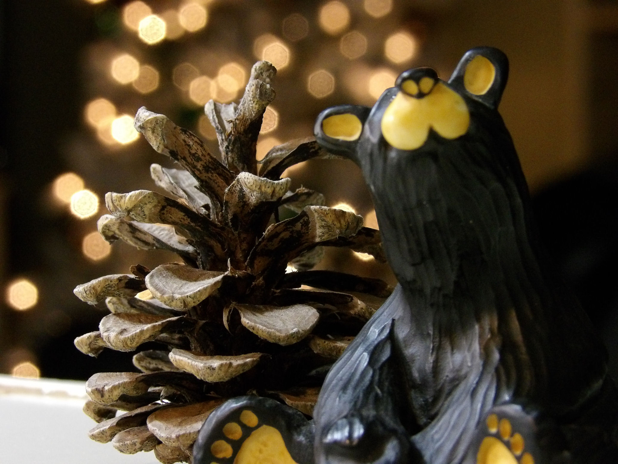 JK KODAK PIXPRO AZ525 sample photo. Bear and pinecone photography