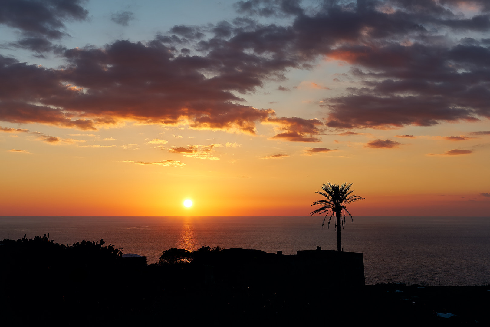 Sony a99 II sample photo. Gennaio photography