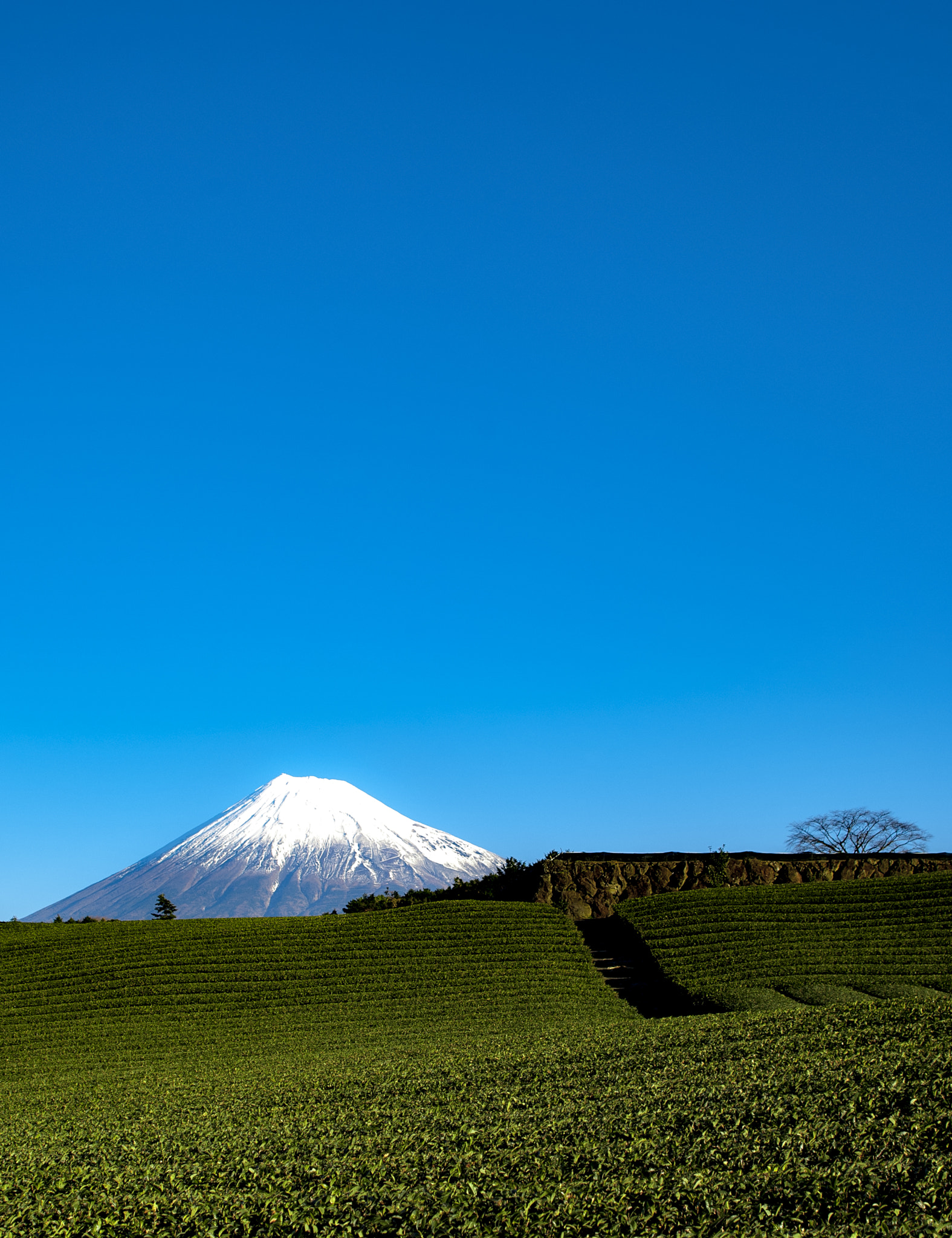 AF Zoom-Nikkor 28-105mm f/3.5-4.5D IF sample photo. Mt fuji photography