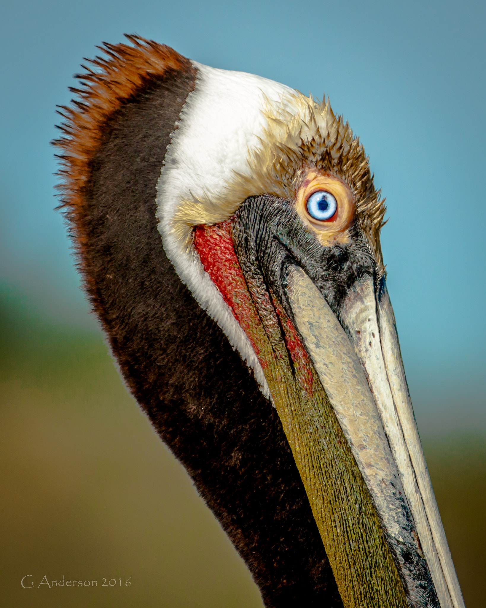 Canon EF 70-200mm F2.8L IS II USM sample photo. Portrait photography