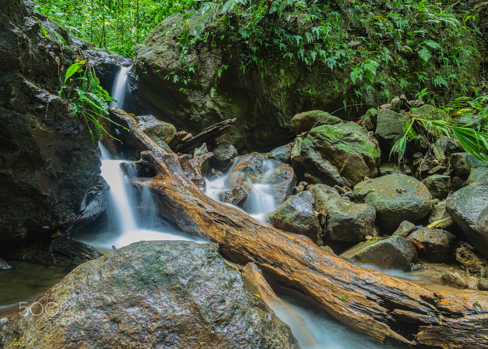 Sigma 18-50mm f/3.5-5.6 DC sample photo. Un tronc une rivière photography