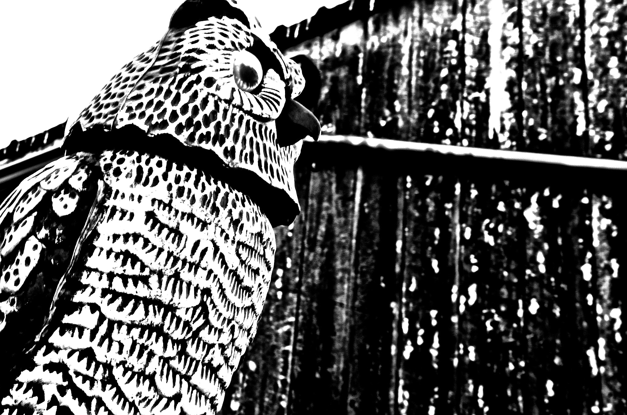 Pentax smc DA 16-45mm F4 ED AL sample photo. The wooden owl photography