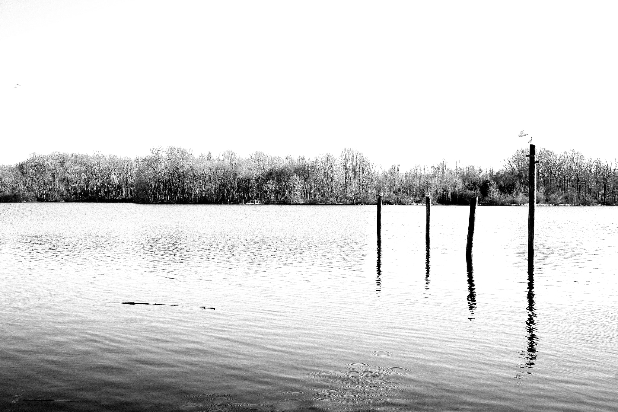 Canon EOS 5D + Canon EF 35mm F2 sample photo. Winter lake #1 photography