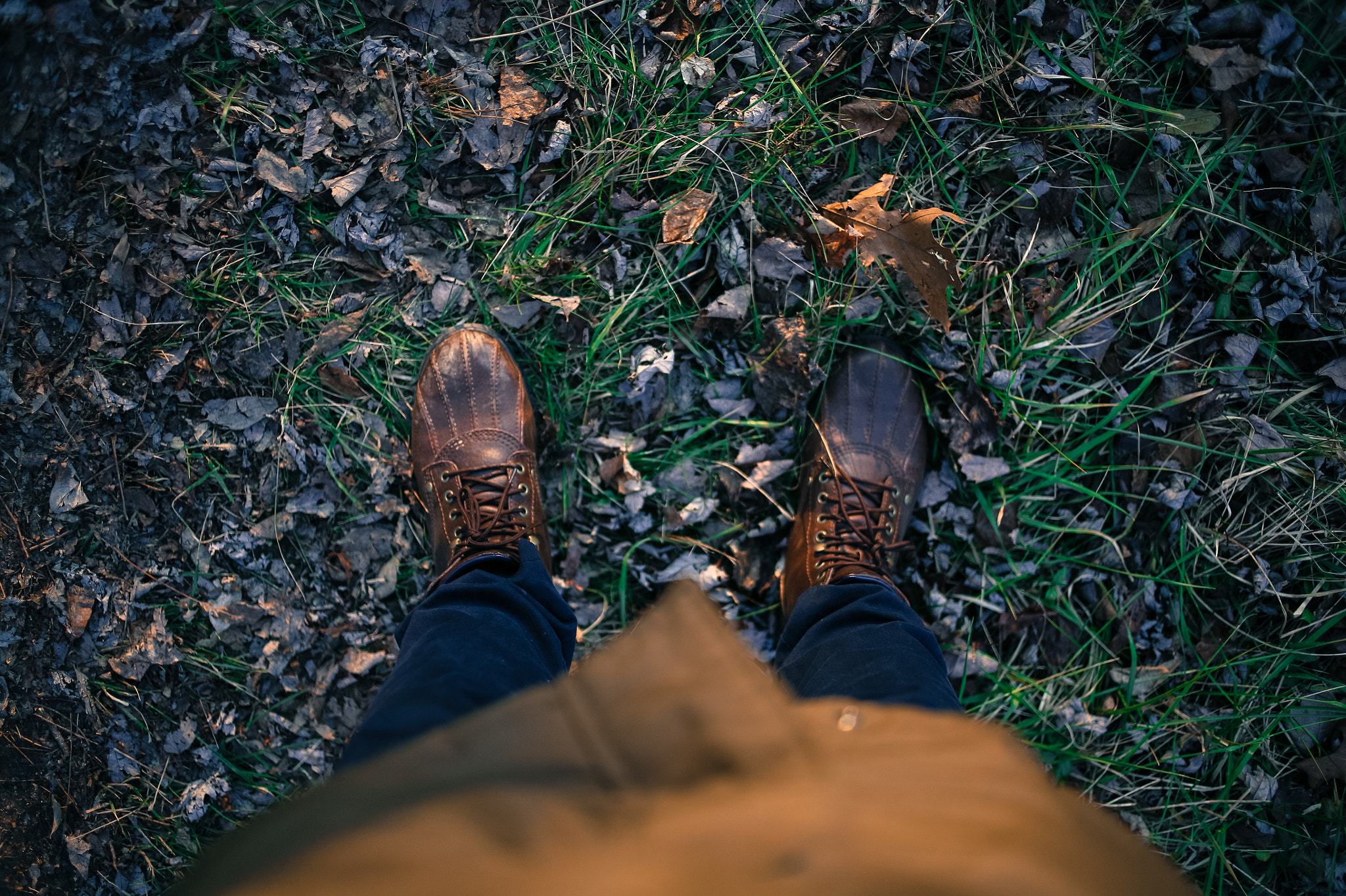 Canon EOS 5D + Canon EF 35mm F2 sample photo. In the woods #2 photography