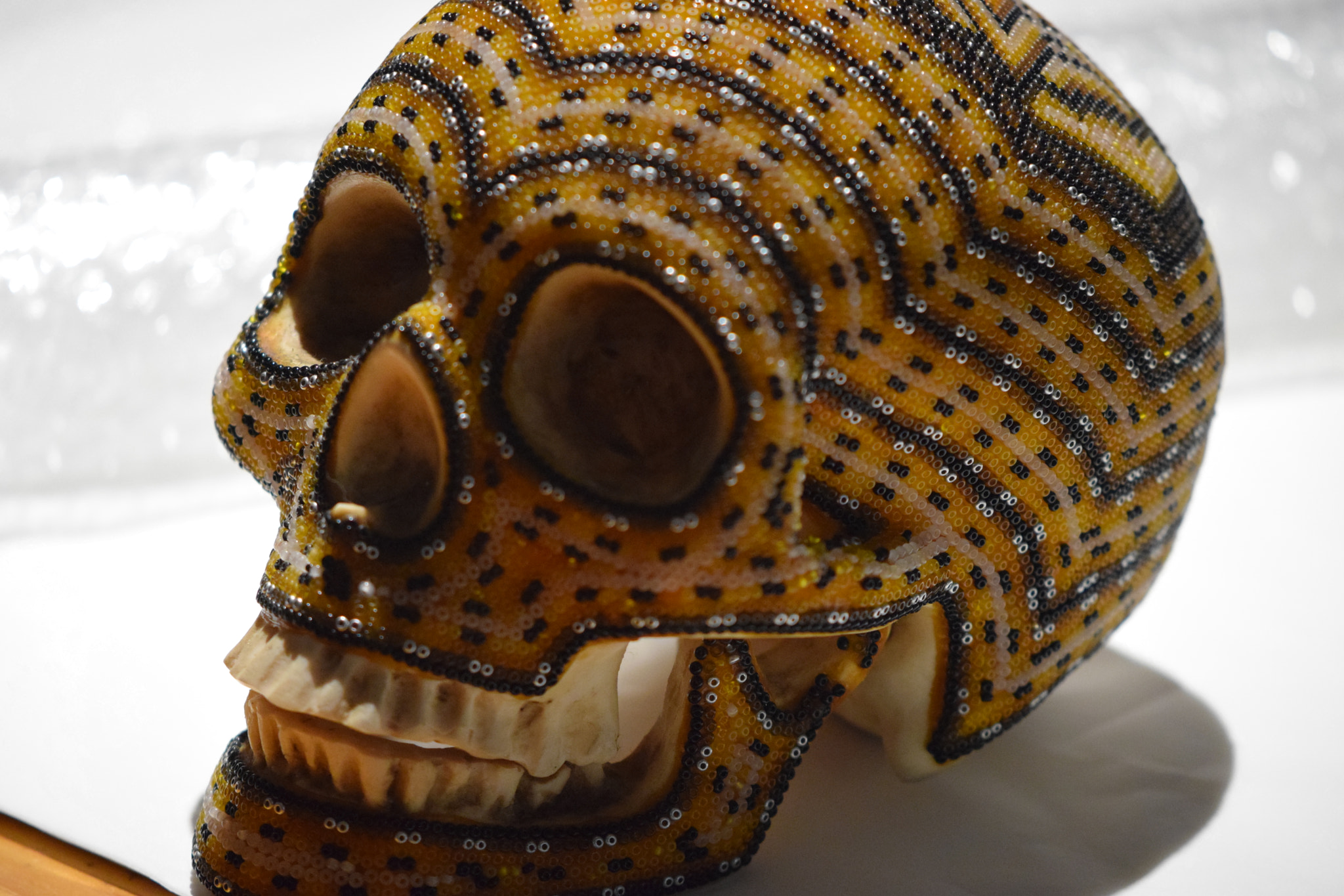 Nikon AF-S DX Micro-Nikkor 85mm F3.5G ED VR sample photo. Bead covered skull photography