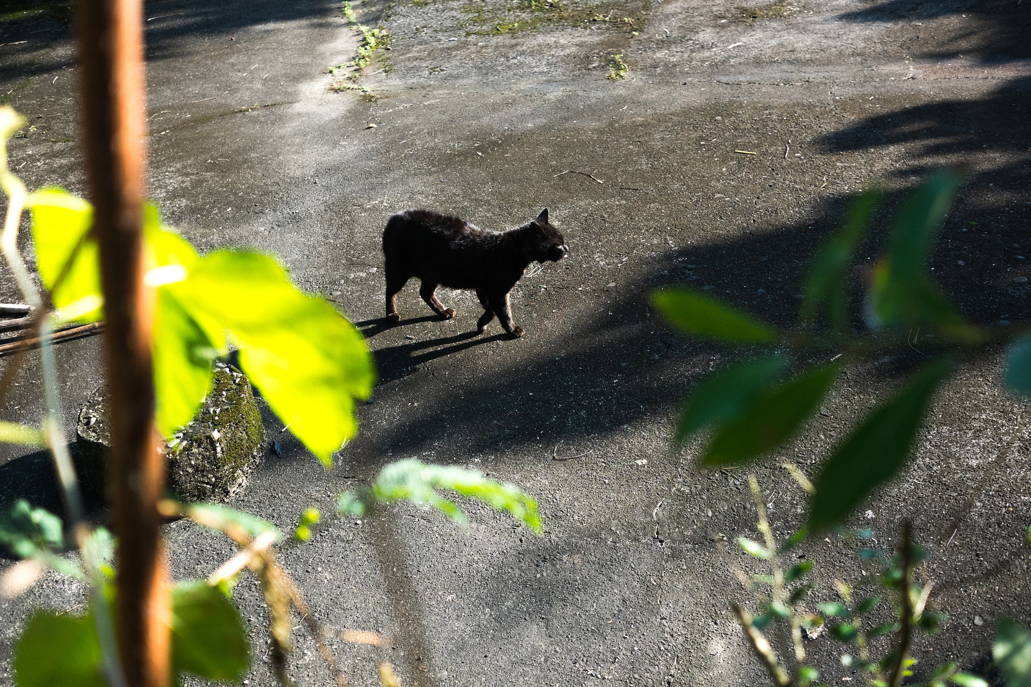 Fujifilm X-M1 + Fujifilm XF 27mm F2.8 sample photo. 老大 photography