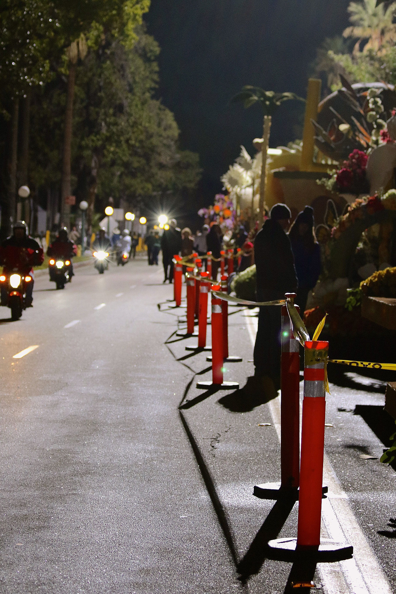 Canon EF 70-300mm F4-5.6 IS USM sample photo. The rose parade 2017 photography