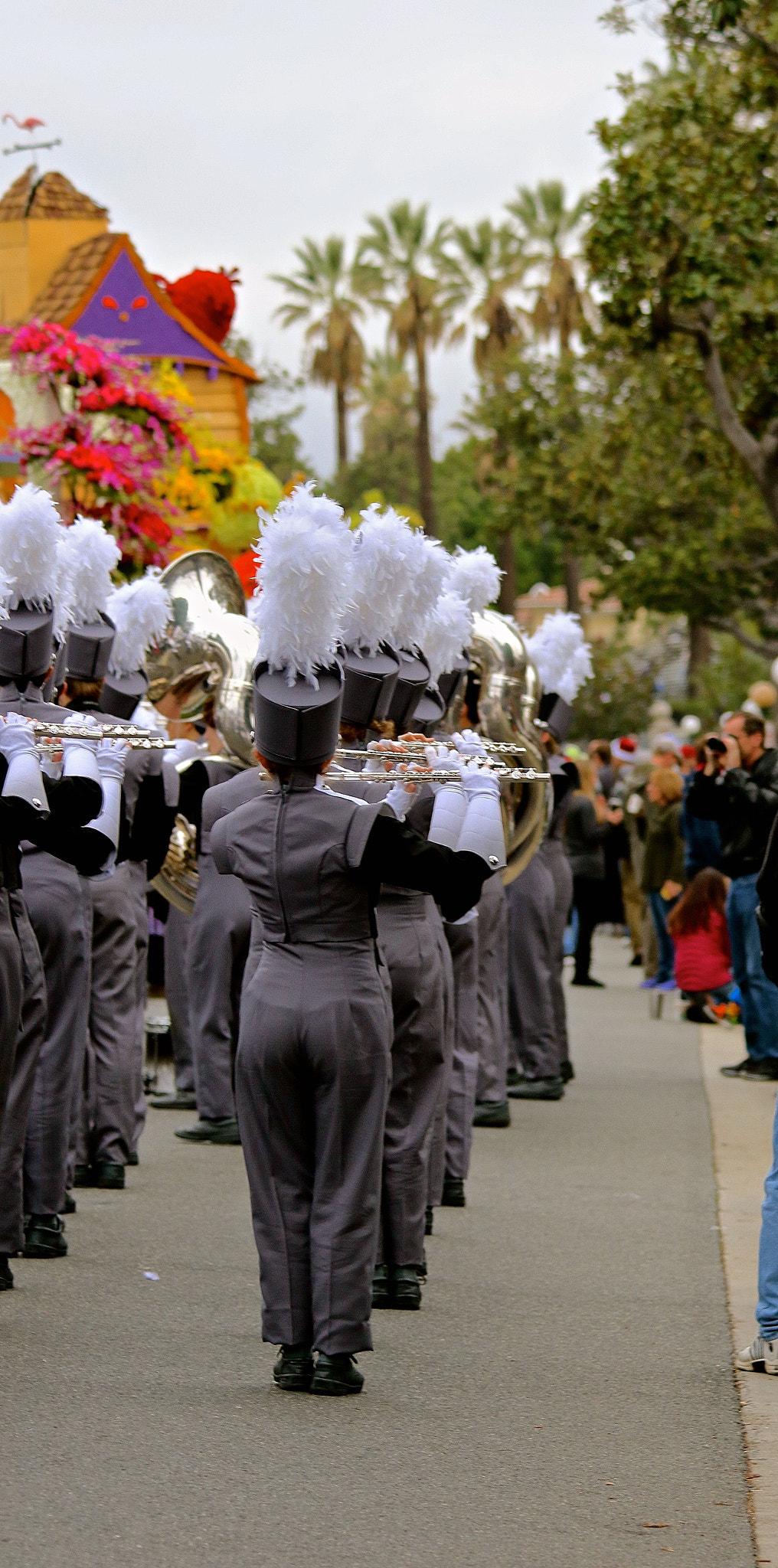 Canon EF 70-300mm F4-5.6 IS USM sample photo. The rose parade 2017 photography