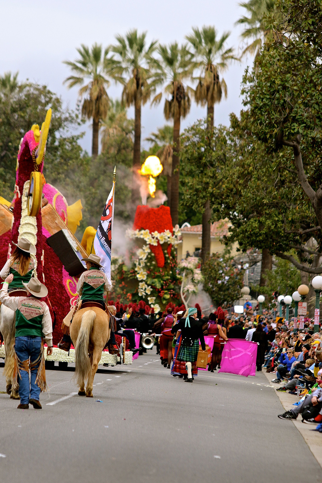 Canon EF 70-300mm F4-5.6 IS USM sample photo. The rose parade 2017 photography