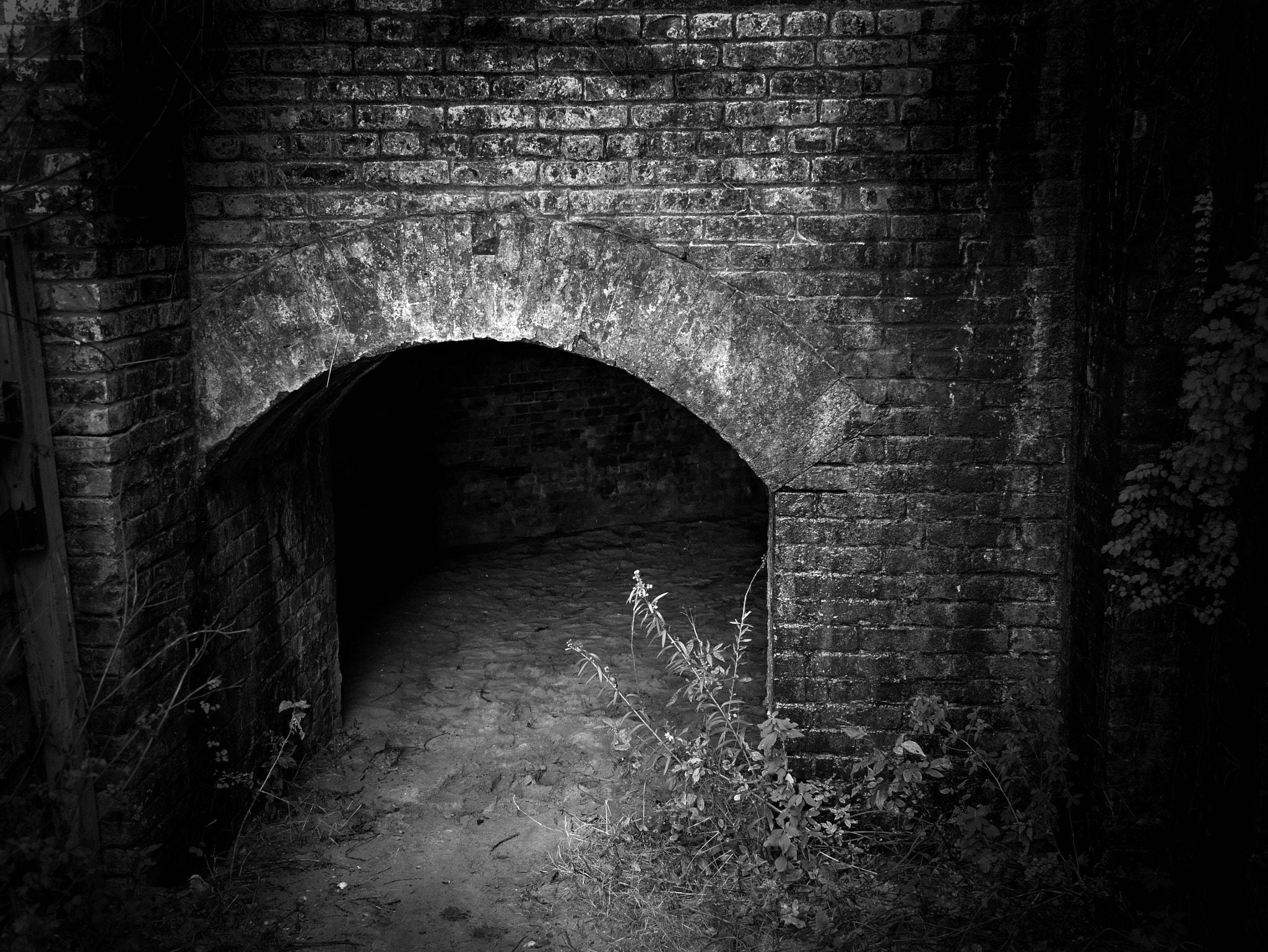 Panasonic Lumix DMC-G7 sample photo. Dark places photography