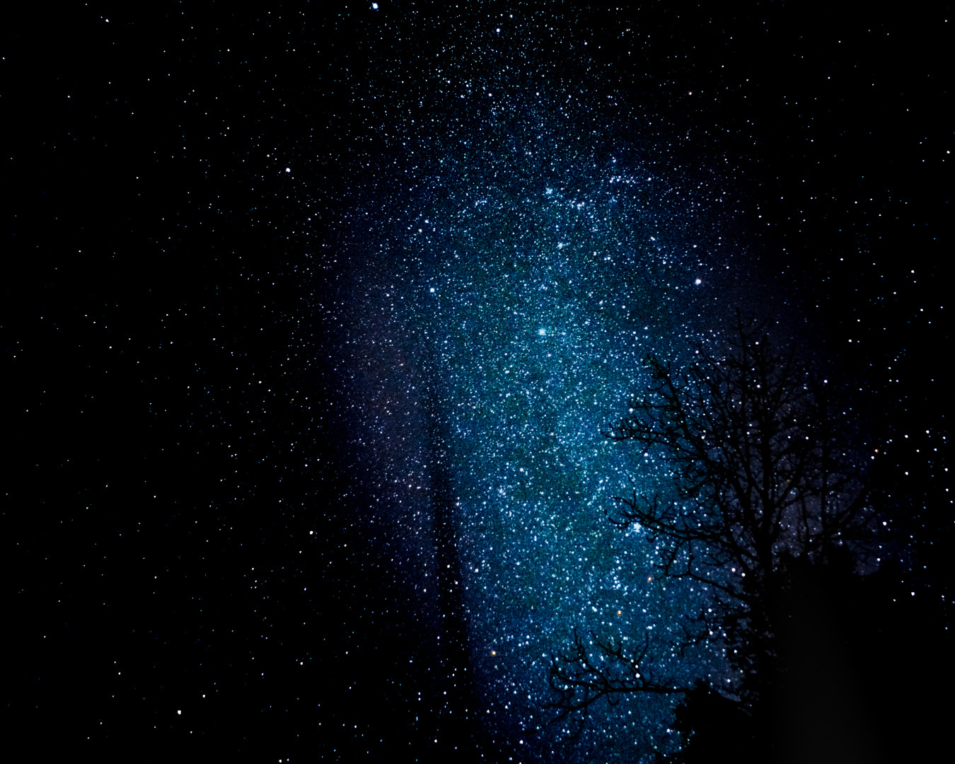 Sony FE 28mm F2 sample photo. Tree and stars near goldba, wa photography