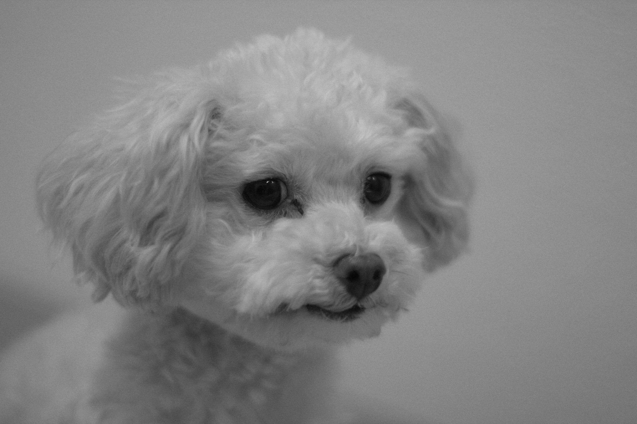 Canon EF 50mm F1.4 USM sample photo