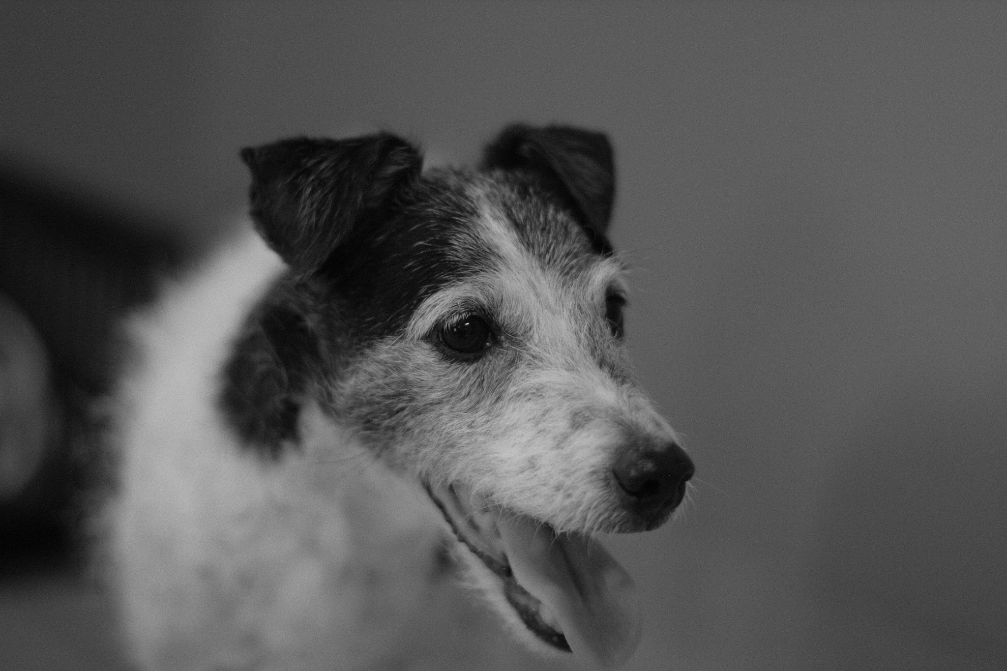 Canon EF 50mm F1.4 USM sample photo