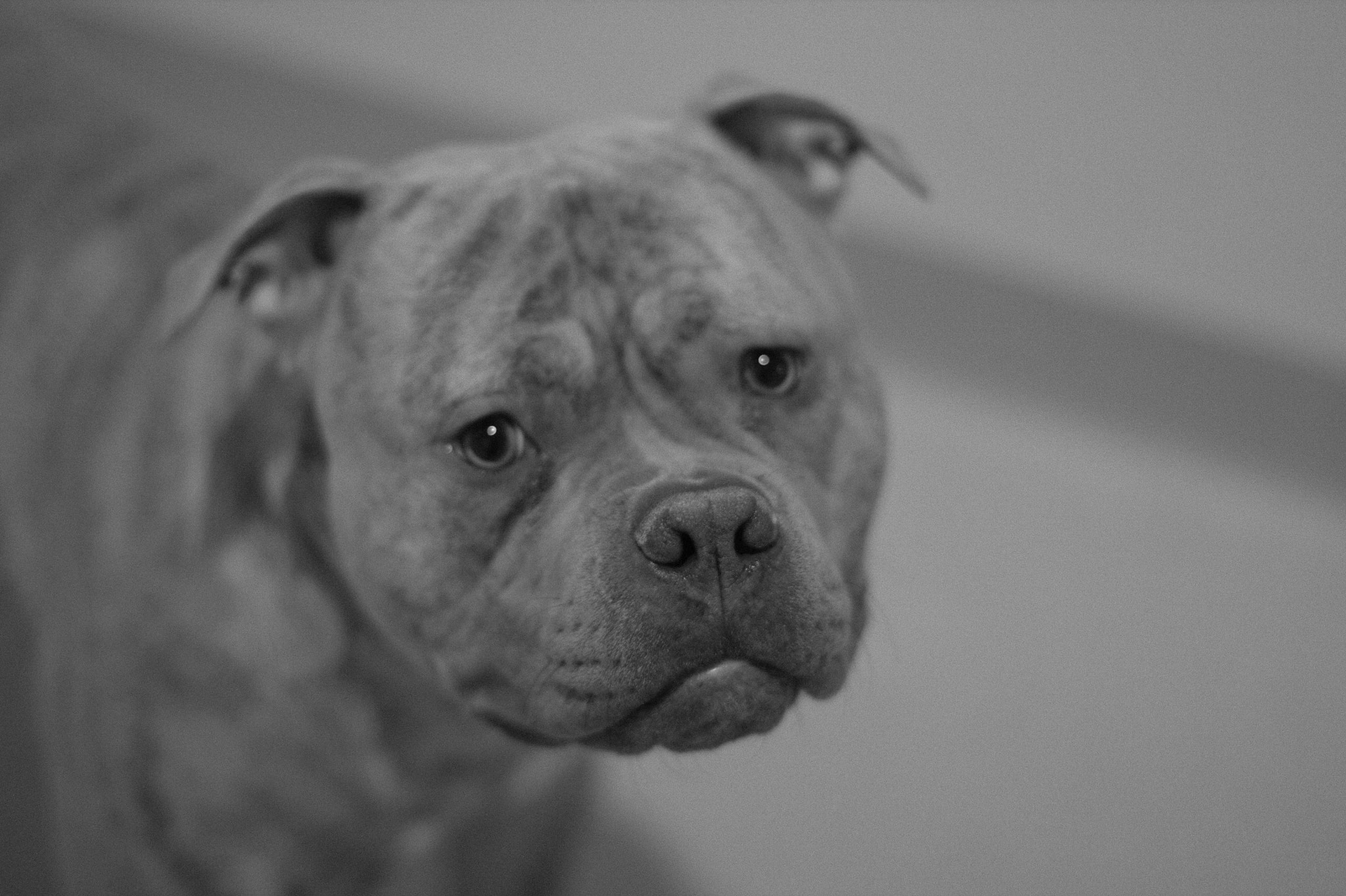 Canon EF 50mm F1.4 USM sample photo