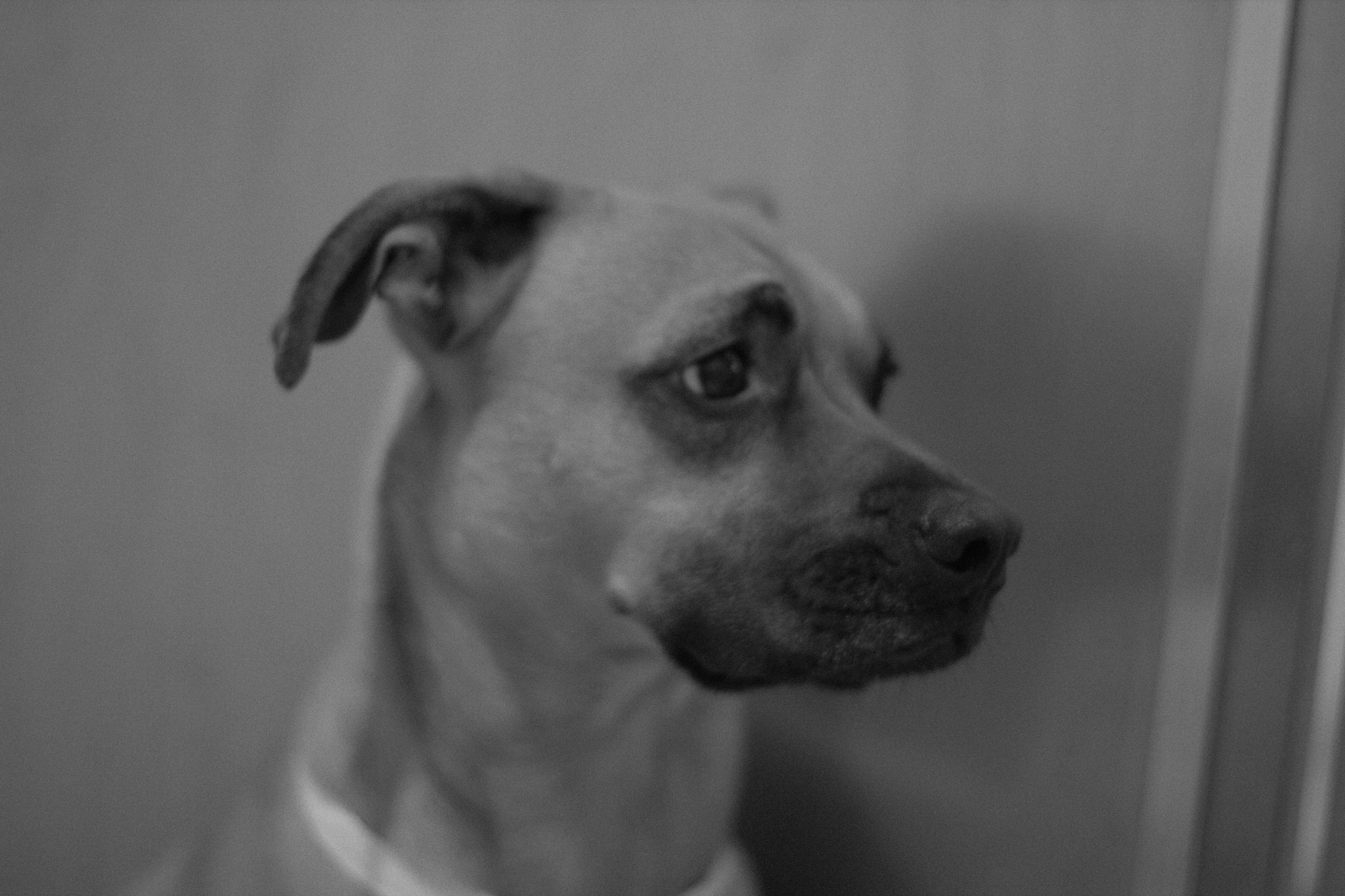 Canon EF 50mm F1.4 USM sample photo