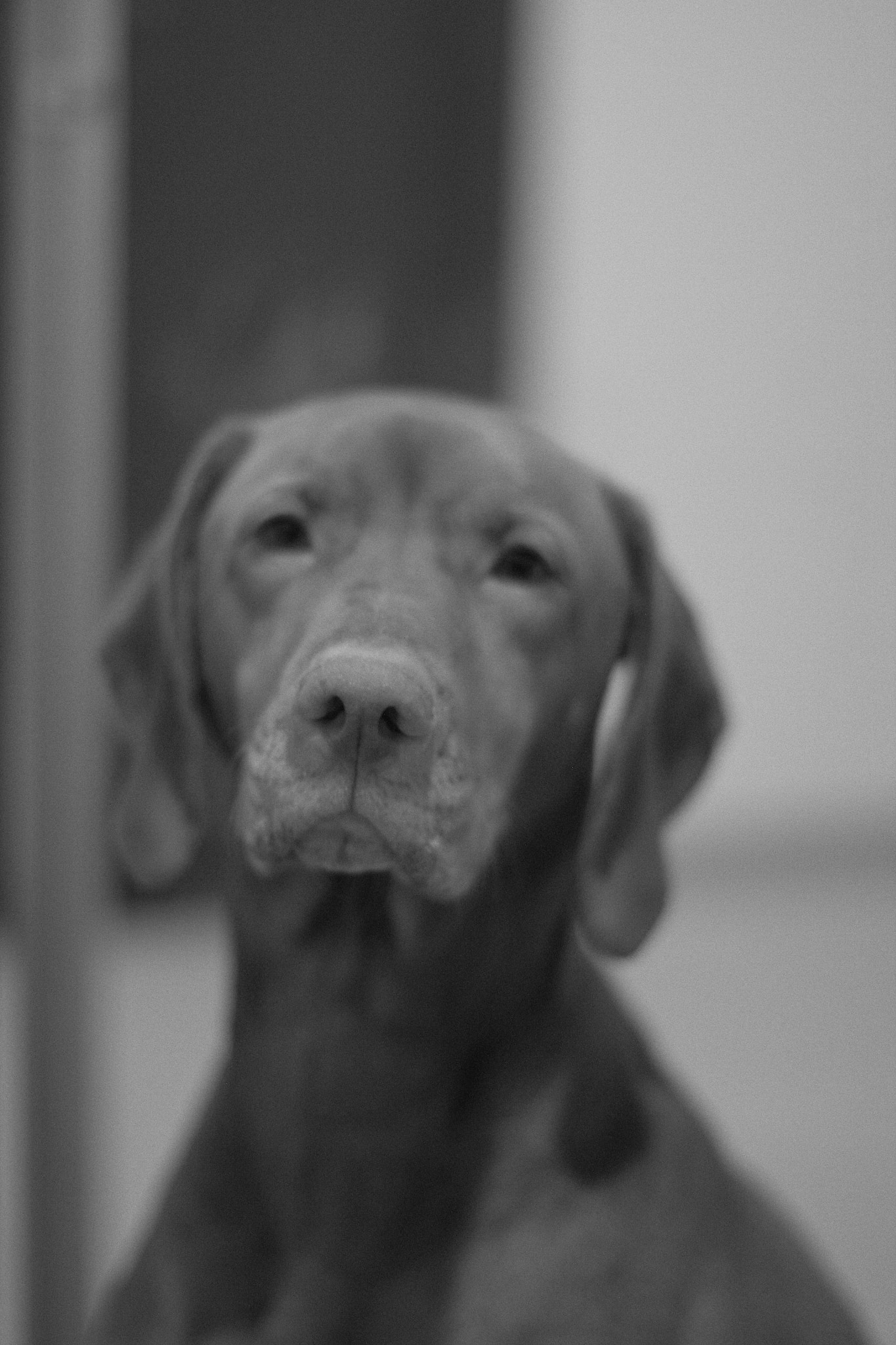 Canon EF 50mm F1.4 USM sample photo