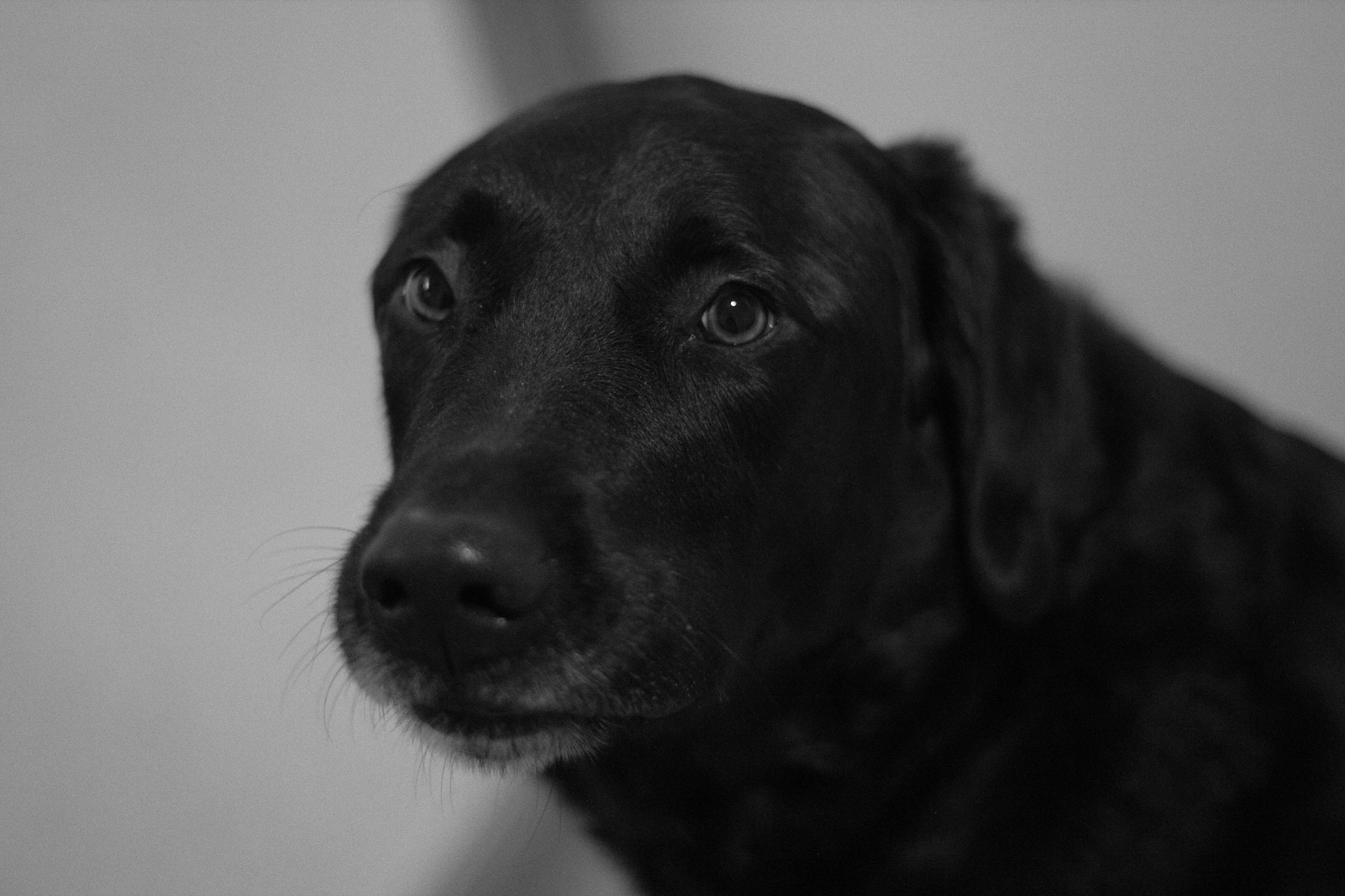 Canon EF 50mm F1.4 USM sample photo