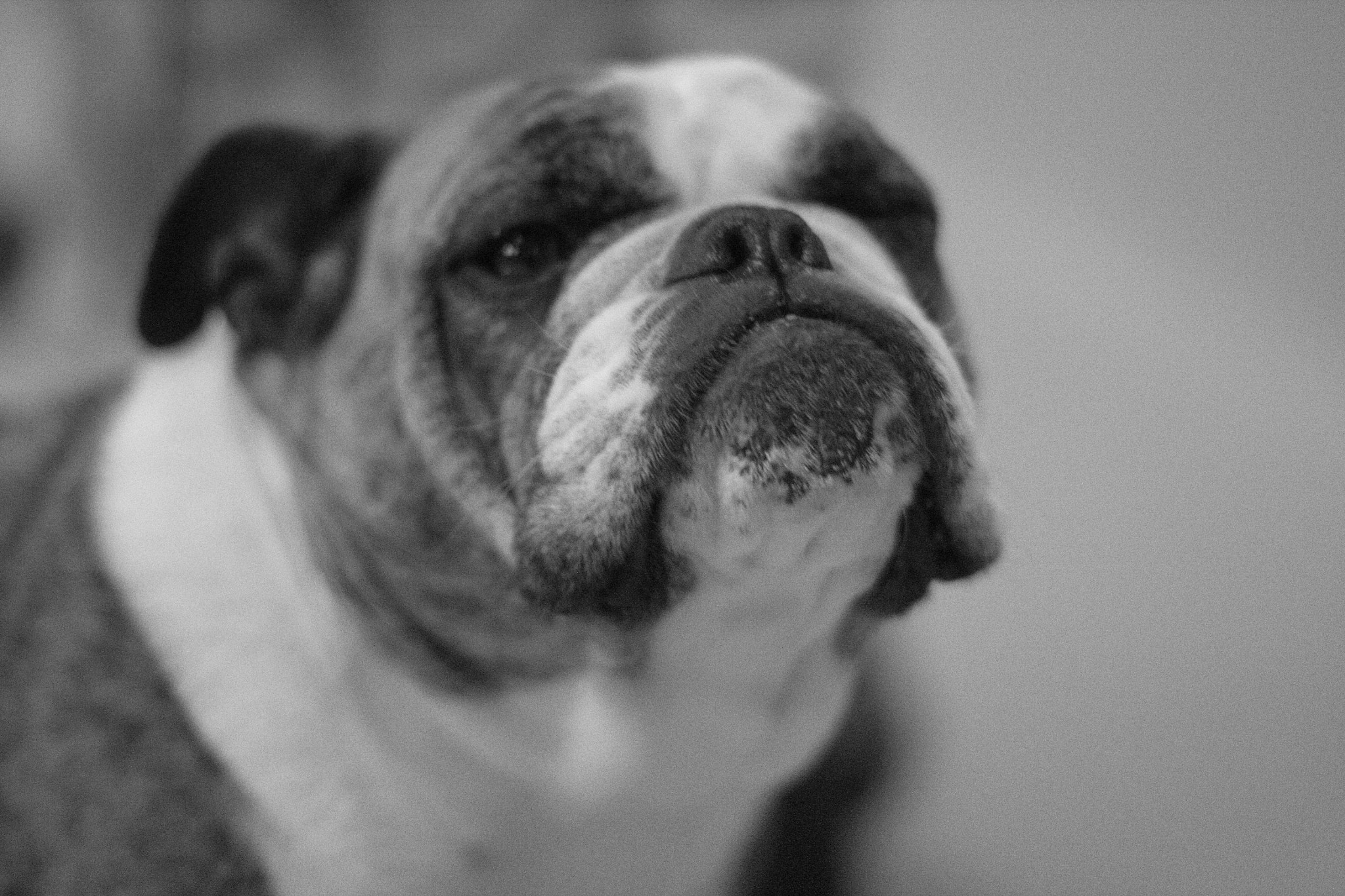 Canon EF 50mm F1.4 USM sample photo