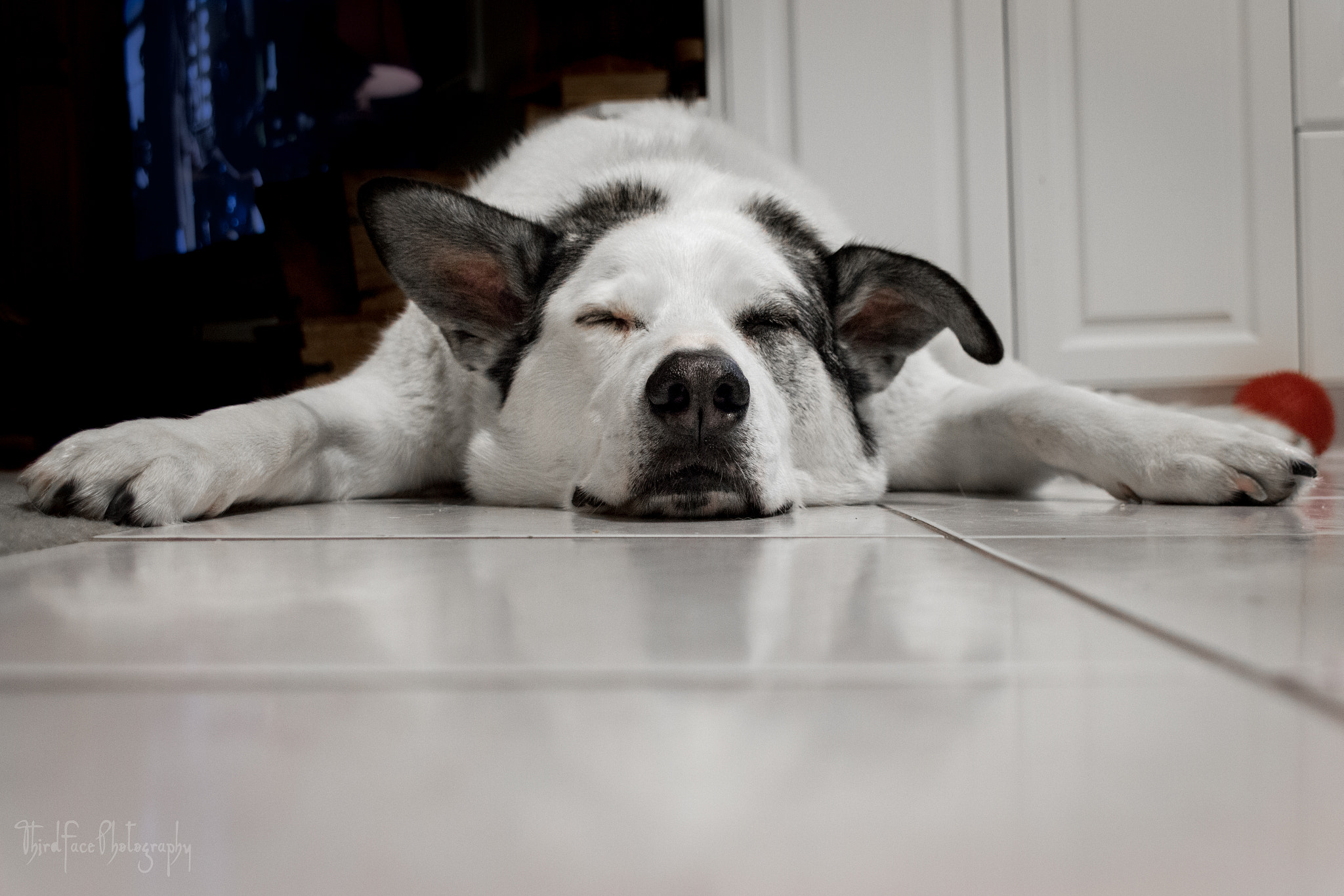 Sigma 18-250mm F3.5-6.3 DC OS HSM sample photo. Sleepy-face ruby photography