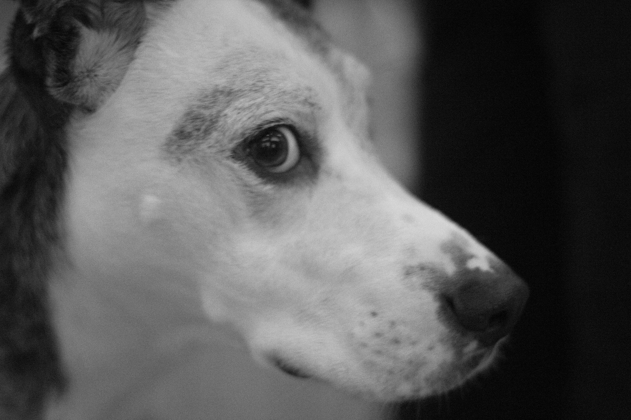 Canon EF 50mm F1.4 USM sample photo