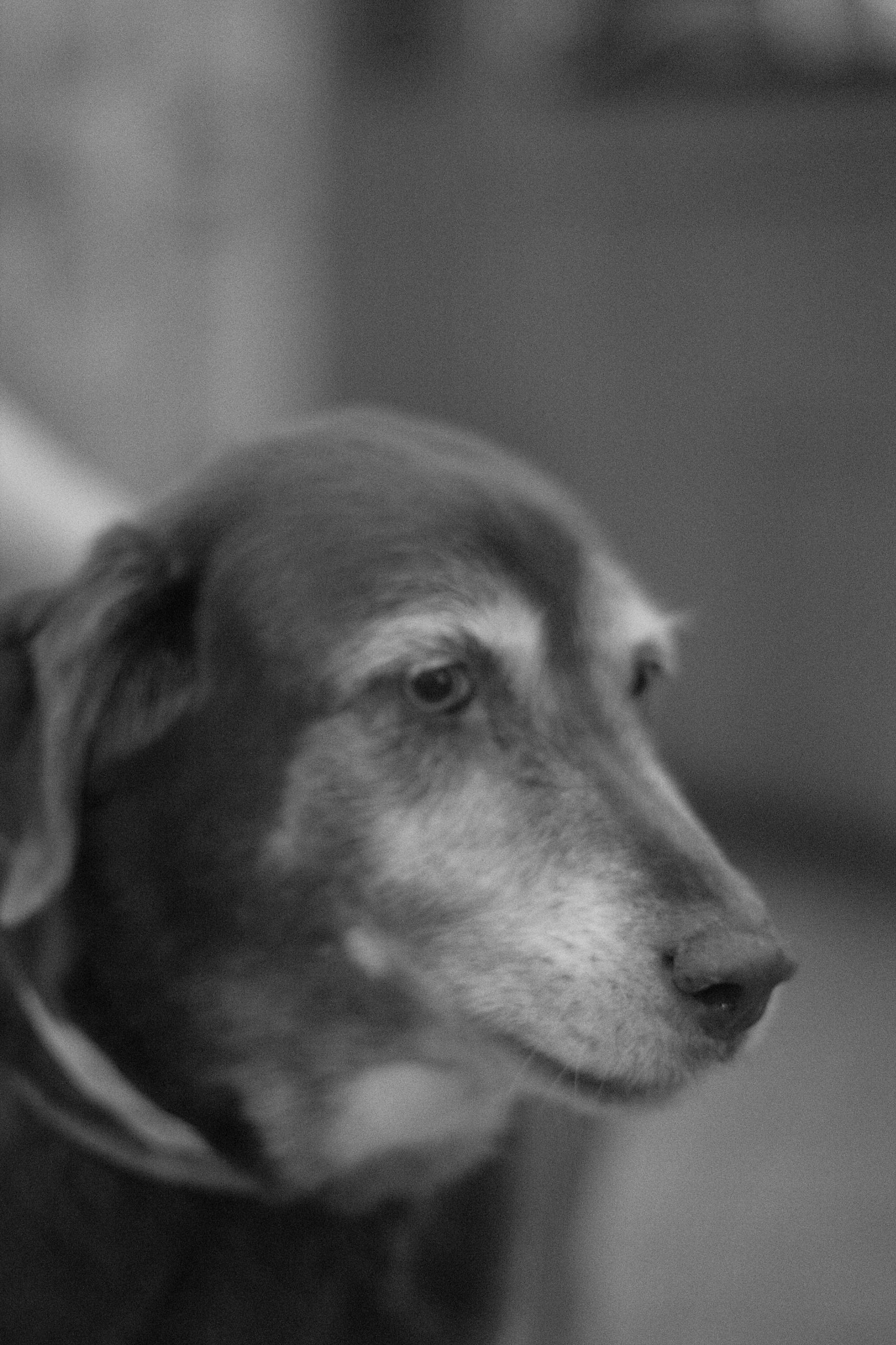 Canon EF 50mm F1.4 USM sample photo